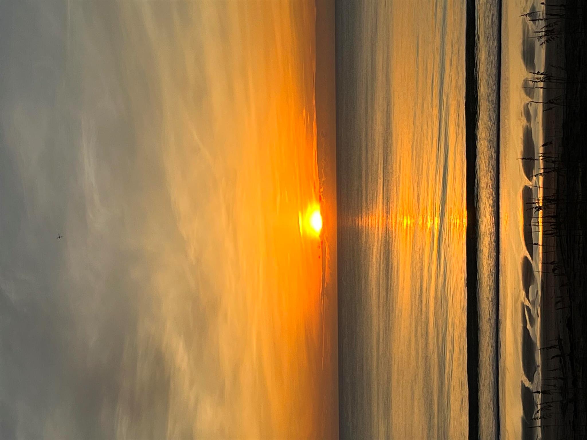 10152 S Ocean Drive Drive 215b