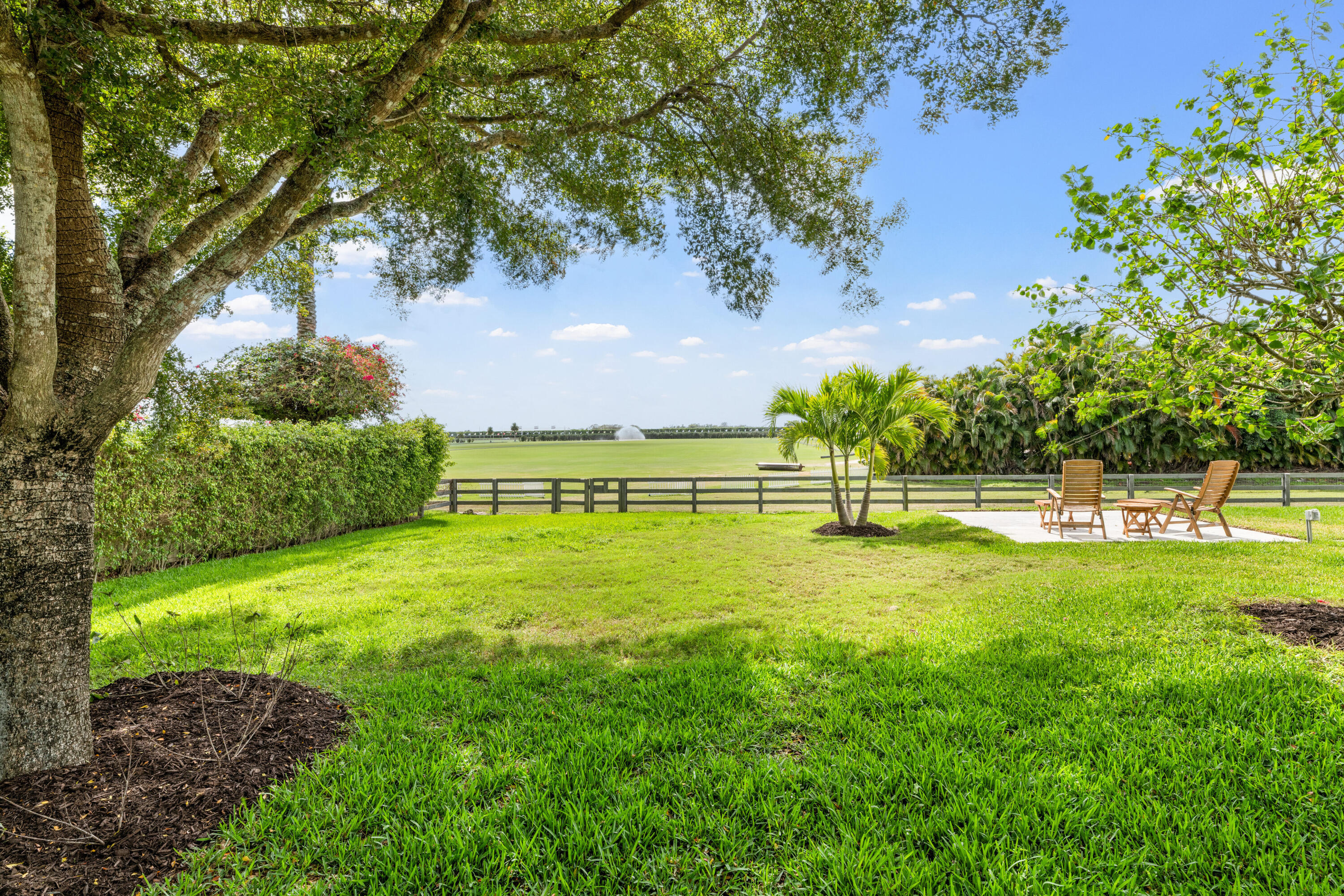 Backyard lawn beneath a mature tree, with a palm cluster, patio seating, and fenced field beyond.
