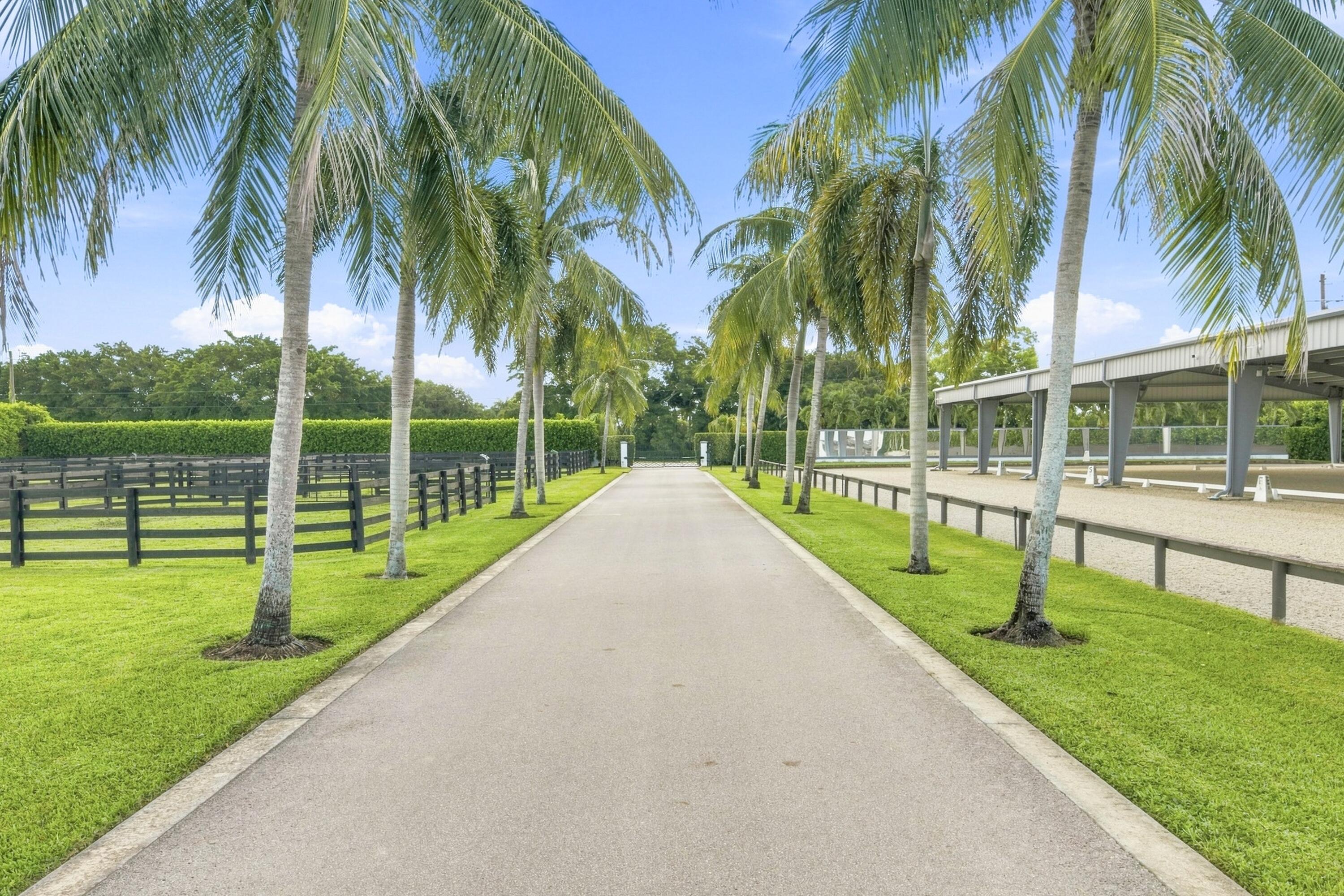 Palm-lined driveway beside fenced paddocks and a covered riding arena.