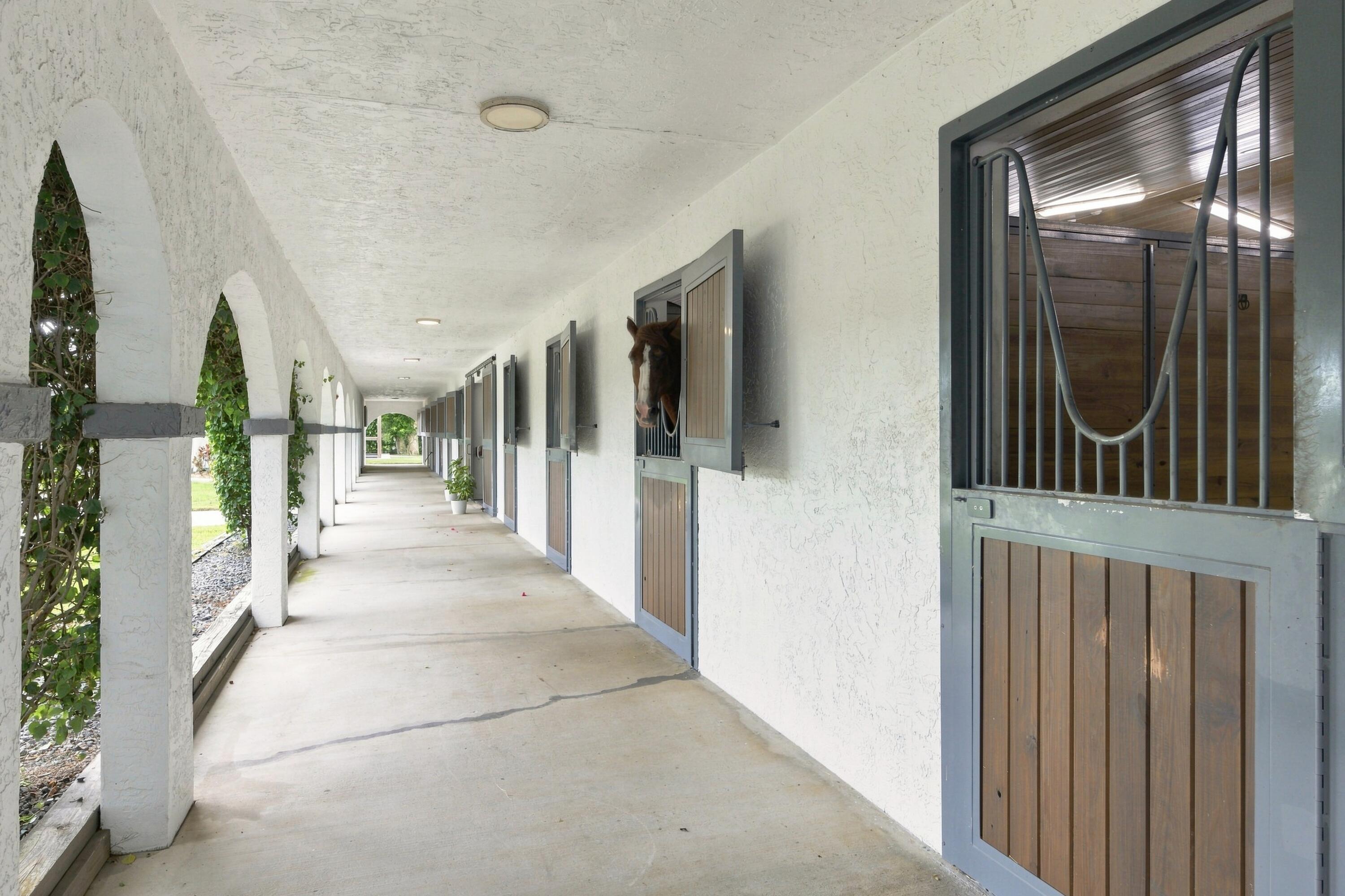 Covered stable aisle with arched openings, wood-and-metal stalls, and a horse looking out.