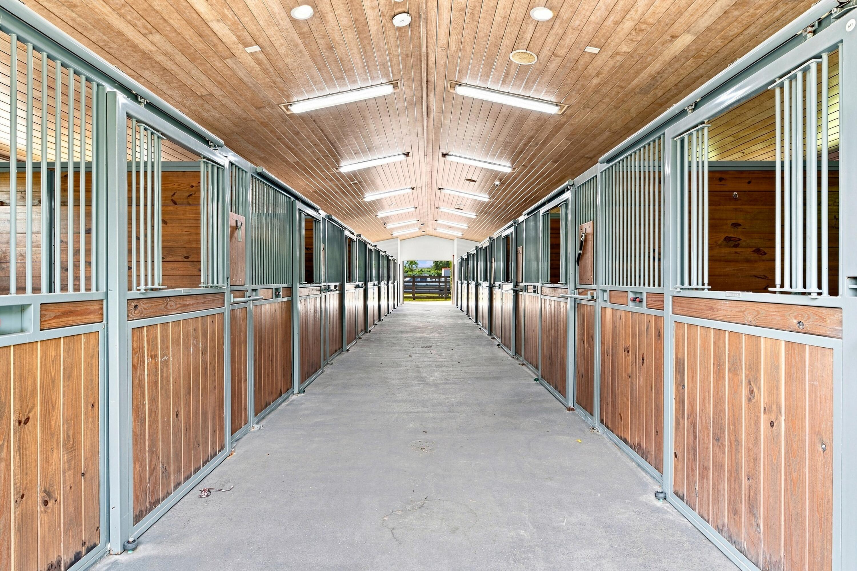Horse stable aisle lined with wood-paneled stalls beneath a wood-plank ceiling.