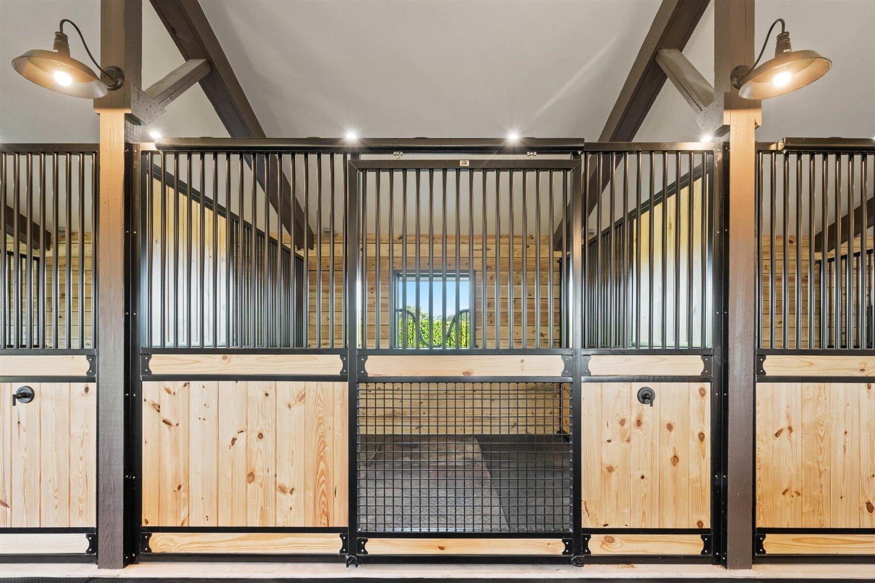 2920 Appaloosa Trail