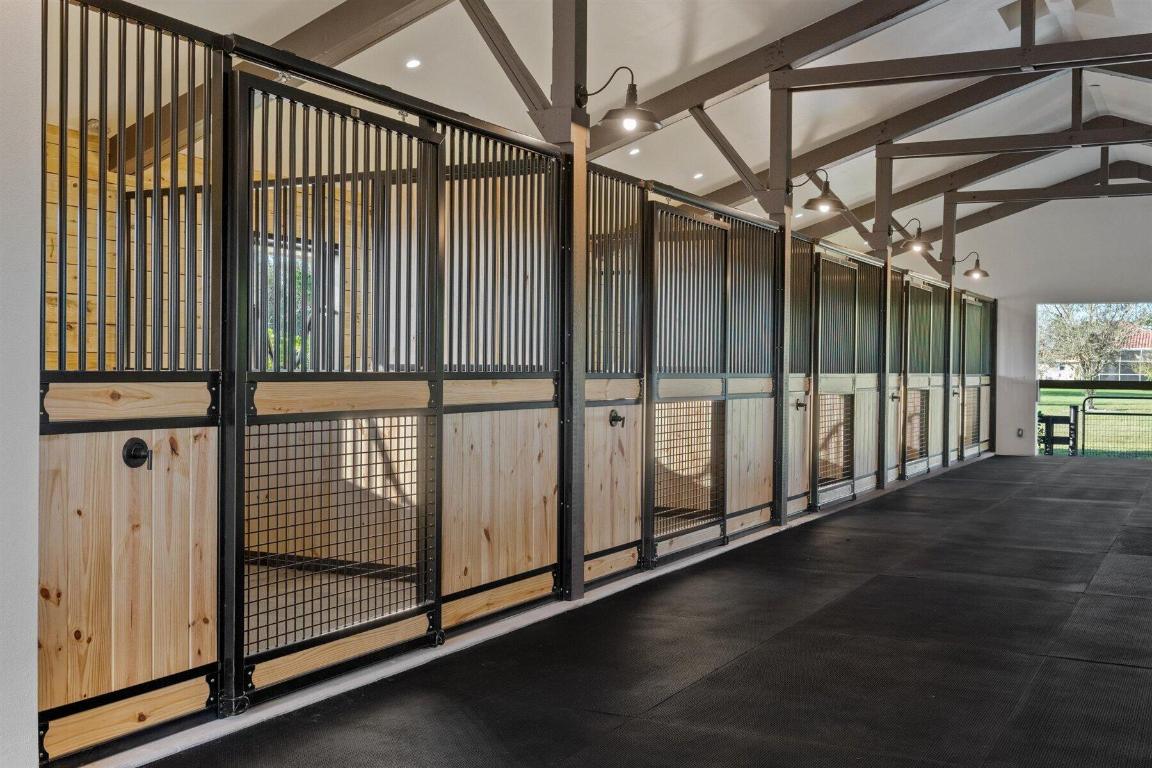 2920 Appaloosa Trail