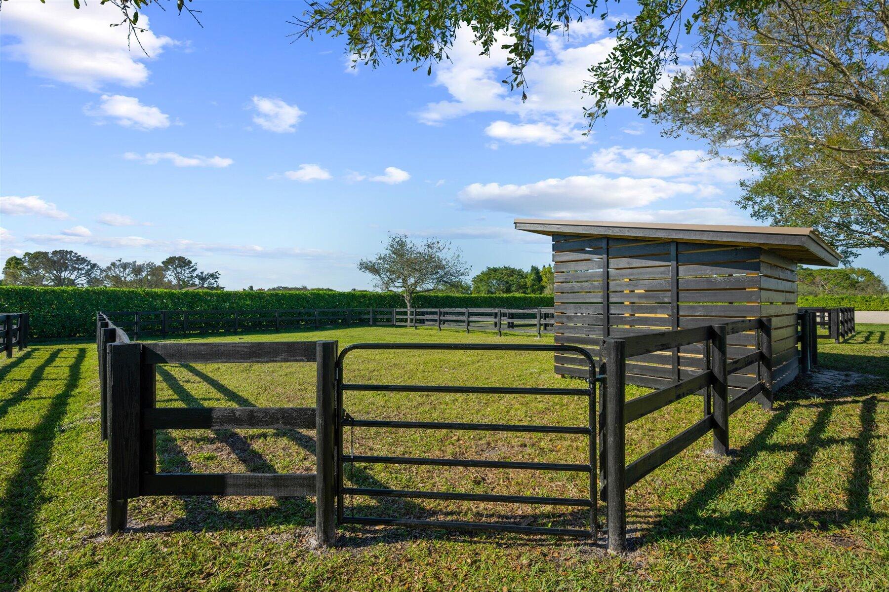 2920 Appaloosa Trail