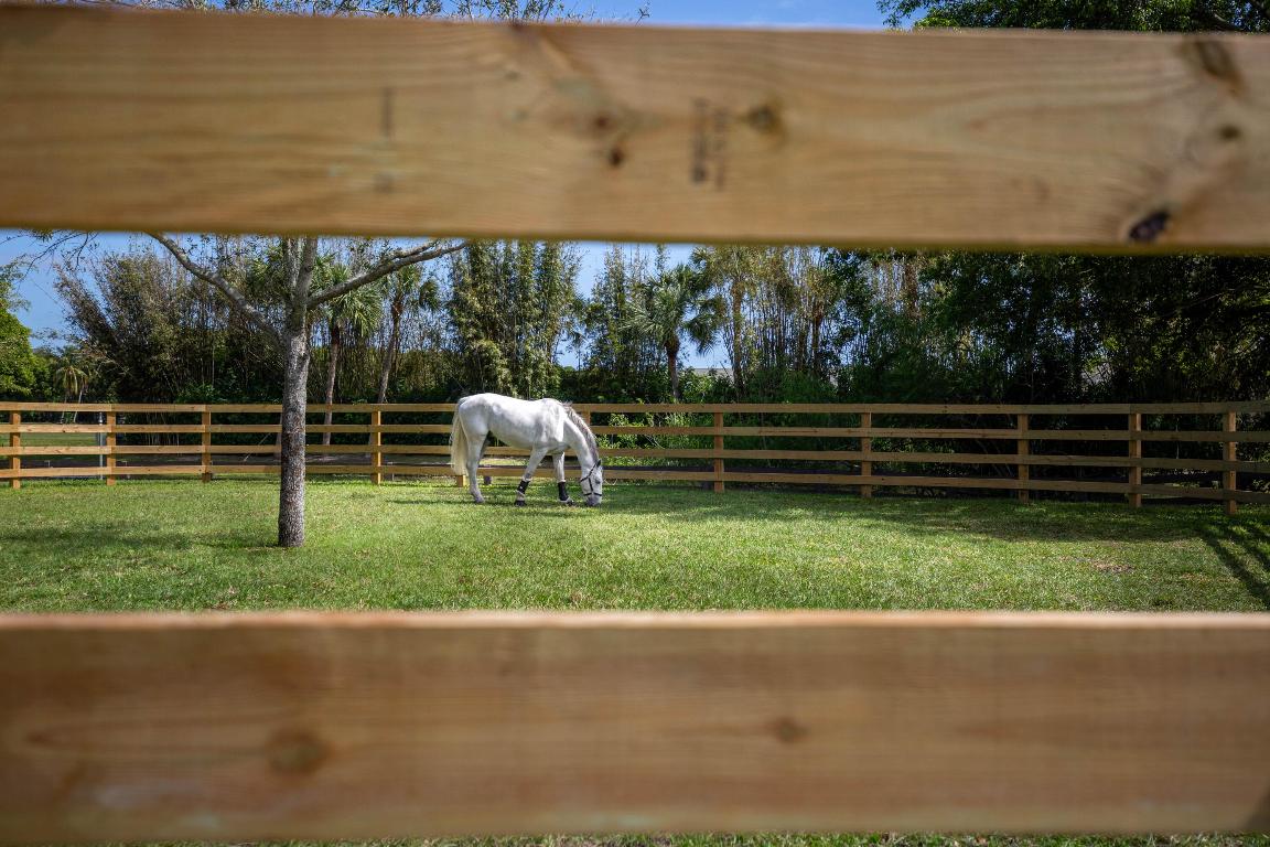 3410 Olde Hampton Drive