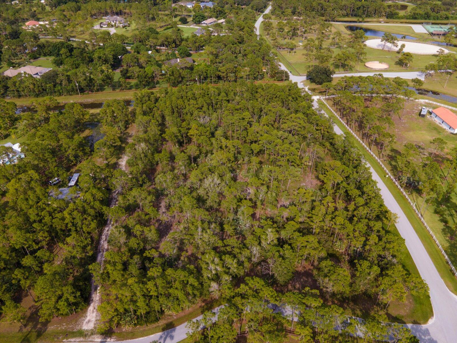 Aerial view of a wooded property beside a paved road, with nearby homes and sports fields.
