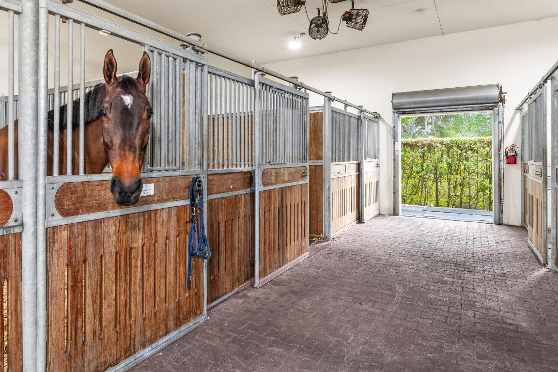 14750 Palm Beach Point Boulevard