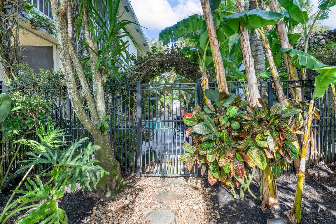 11853 Pebblewood Drive