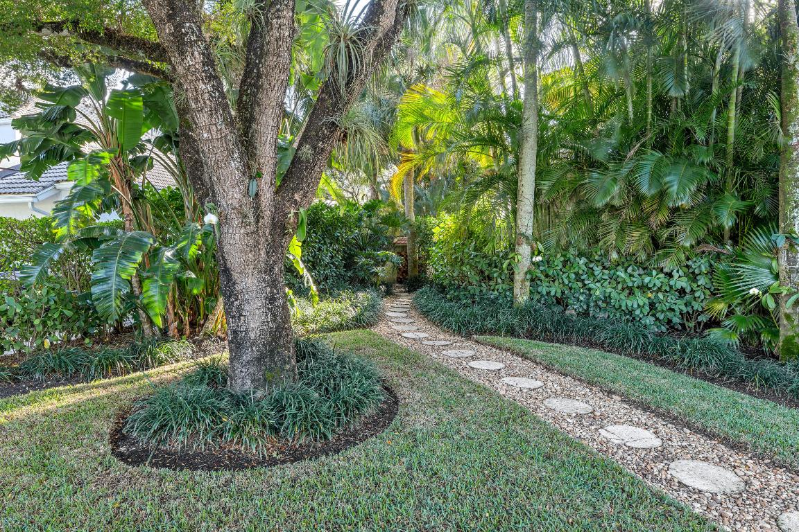 11853 Pebblewood Drive