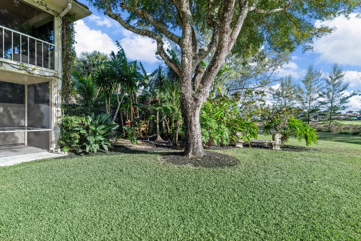 11853 Pebblewood Drive