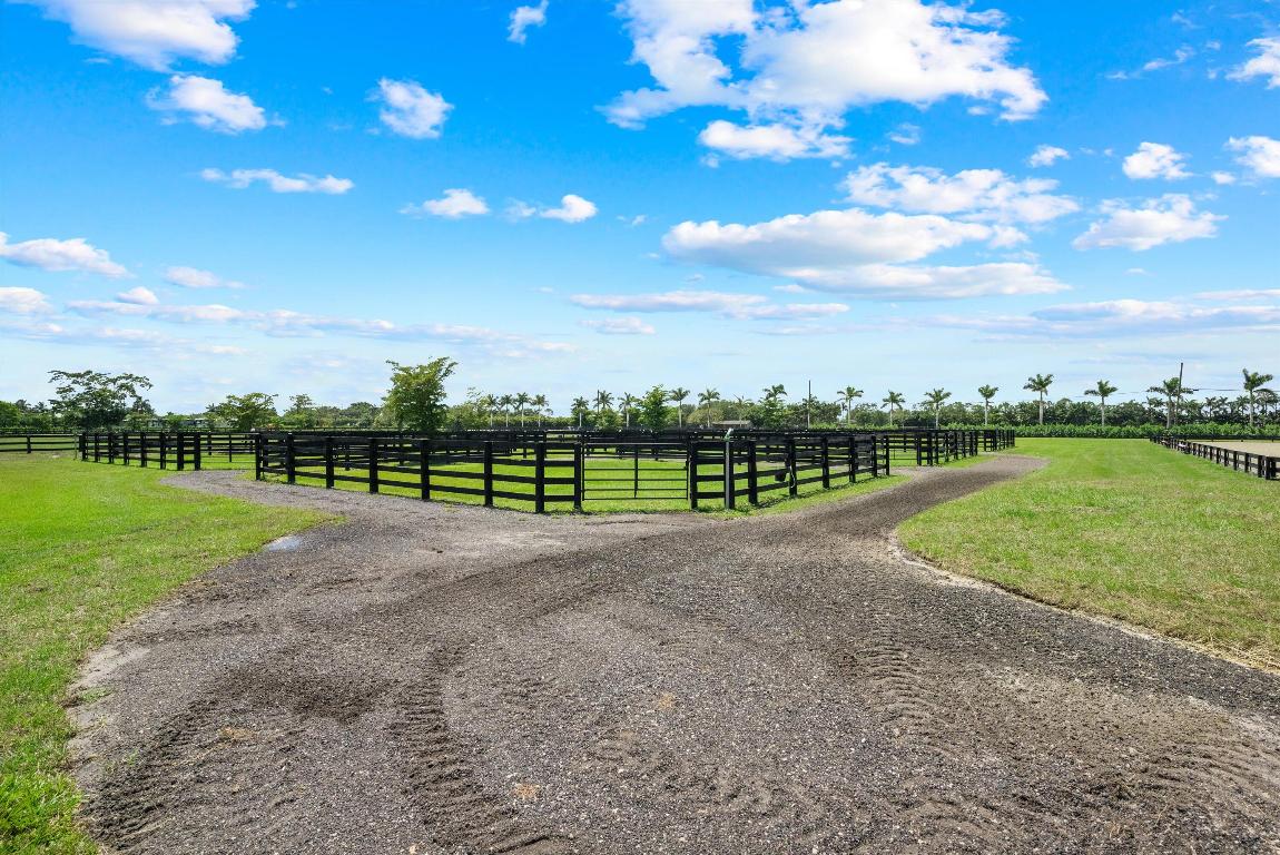 16175 Deer Path Lane Season