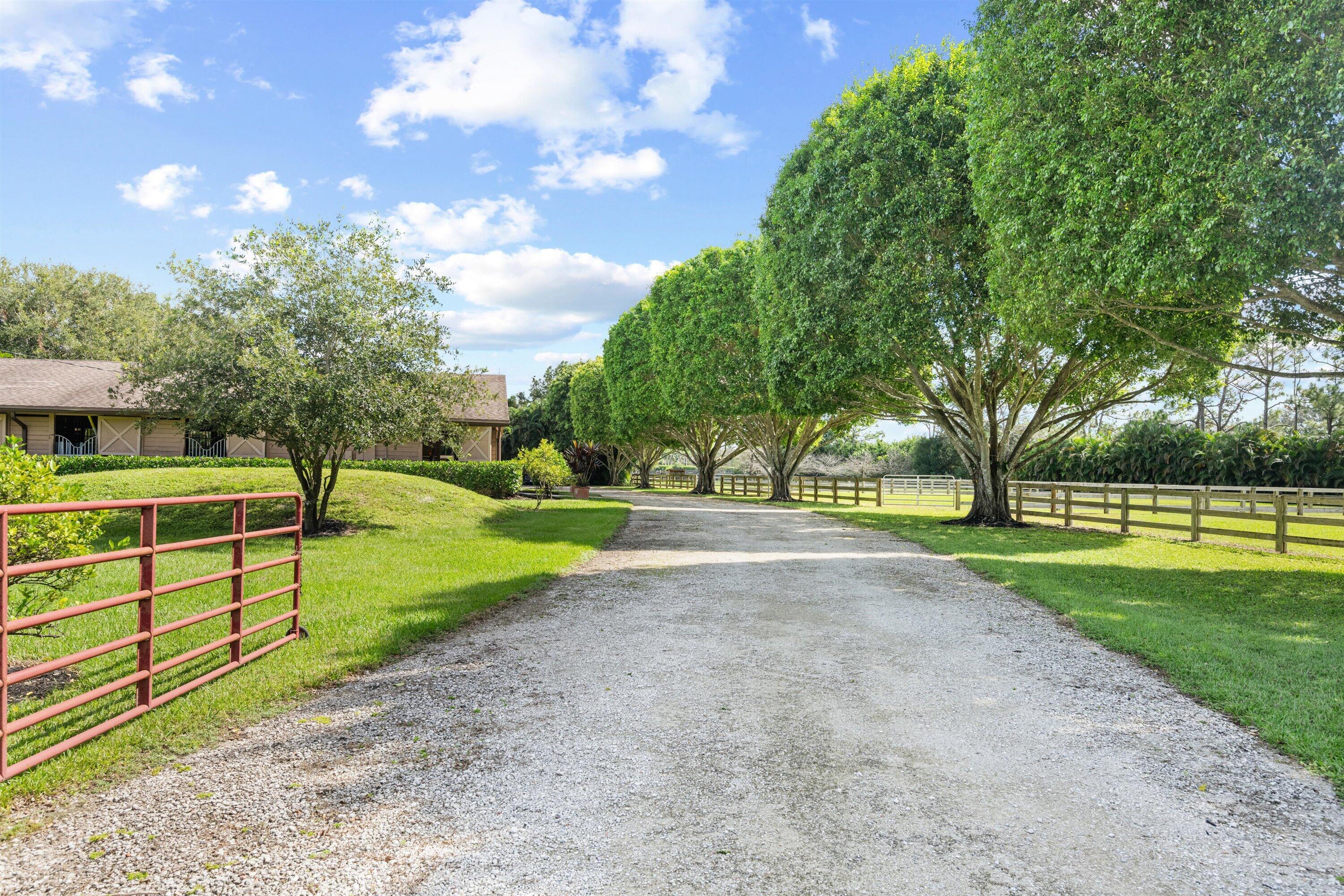 Gravel driveway lined with shade trees, a red metal gate, and fenced grounds.