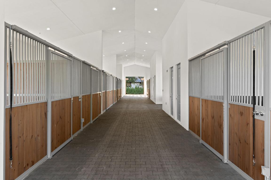 2889 Appaloosa Trail