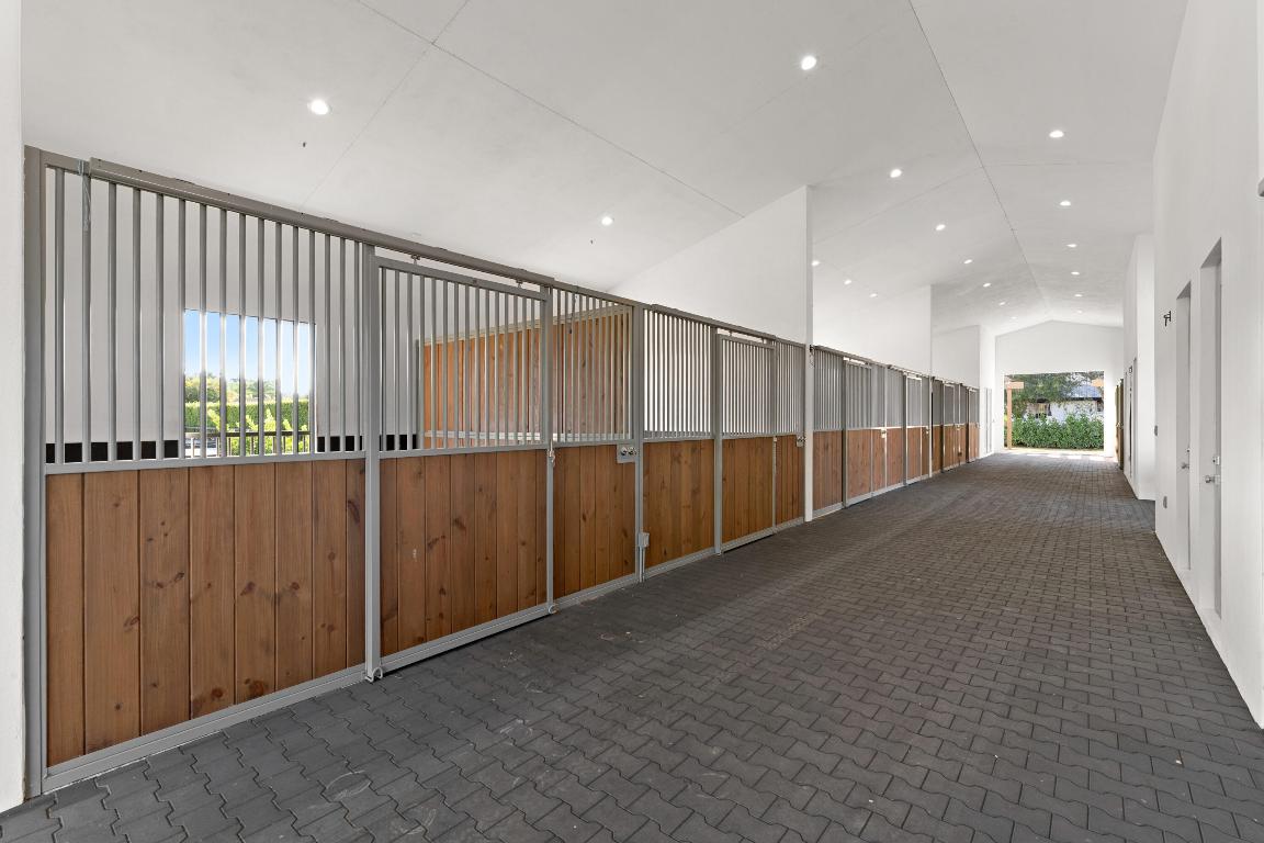 2889 Appaloosa Trail