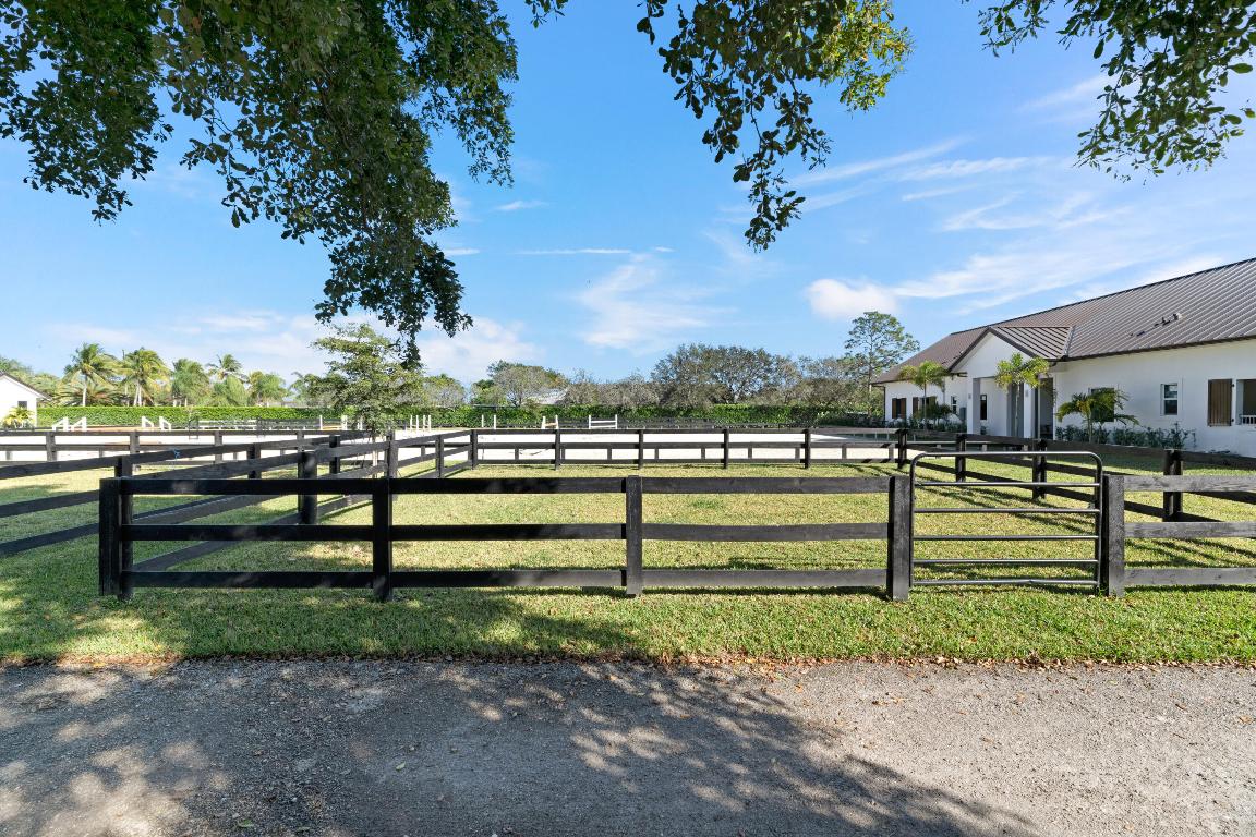 2889 Appaloosa Trail