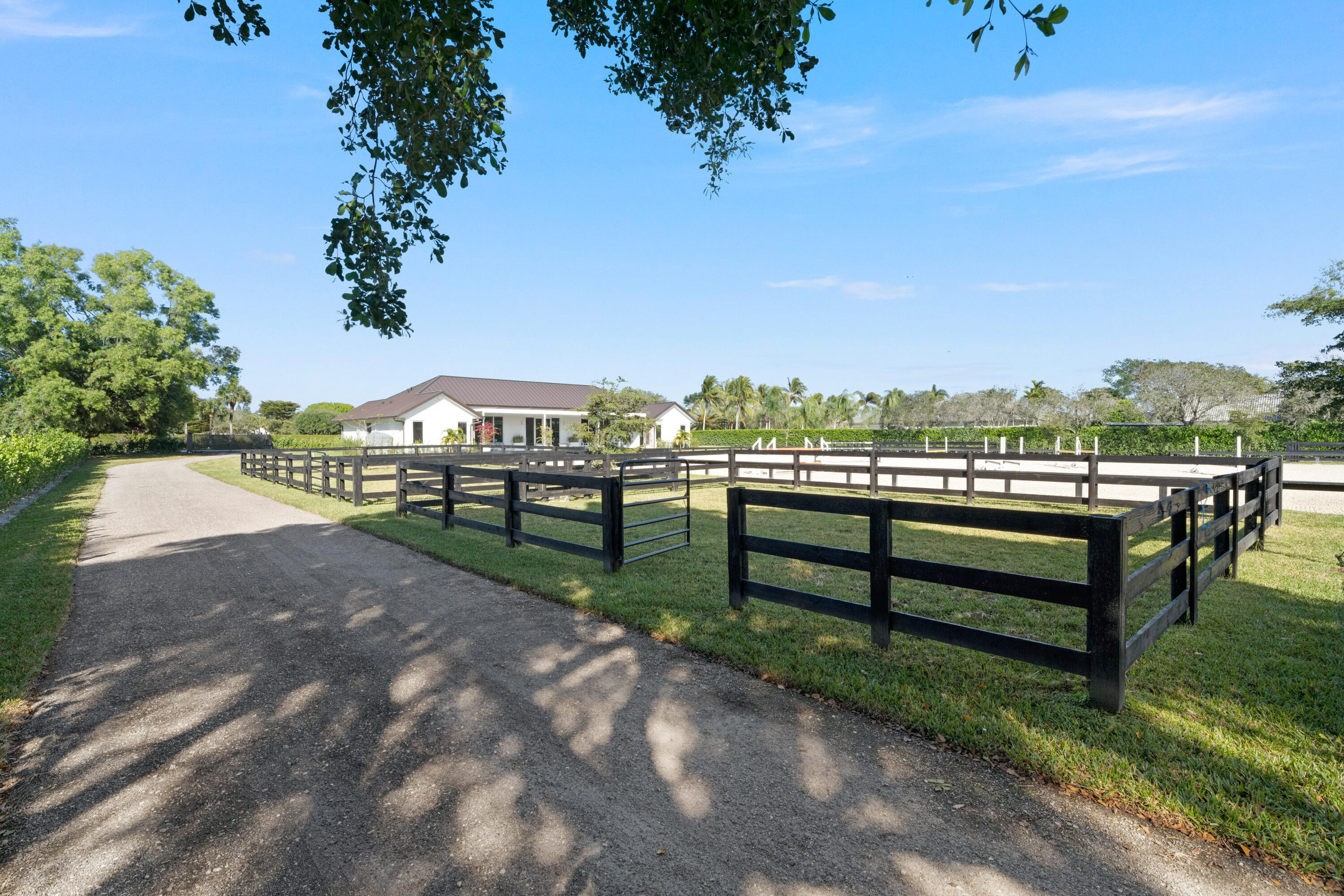 2889 Appaloosa Trail