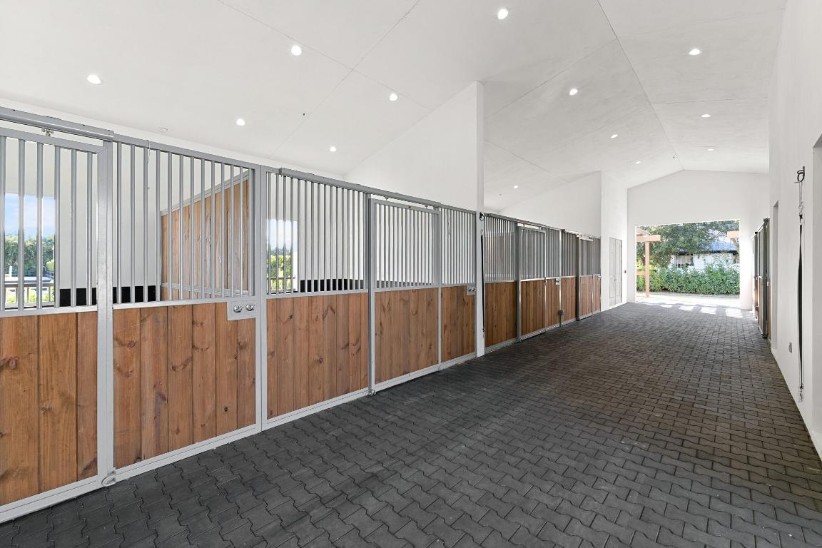 2889 Appaloosa Trail