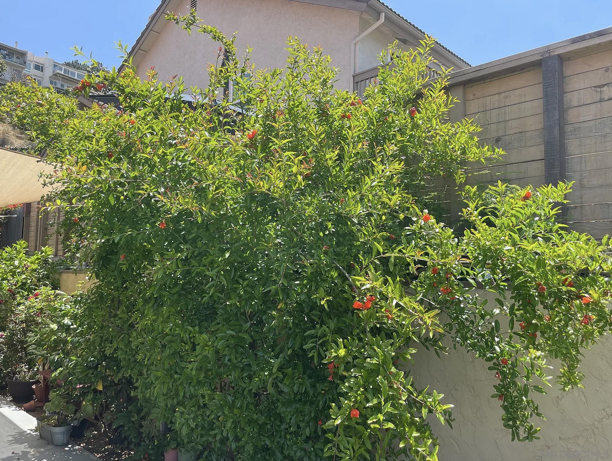 6322 Bernadette Lane