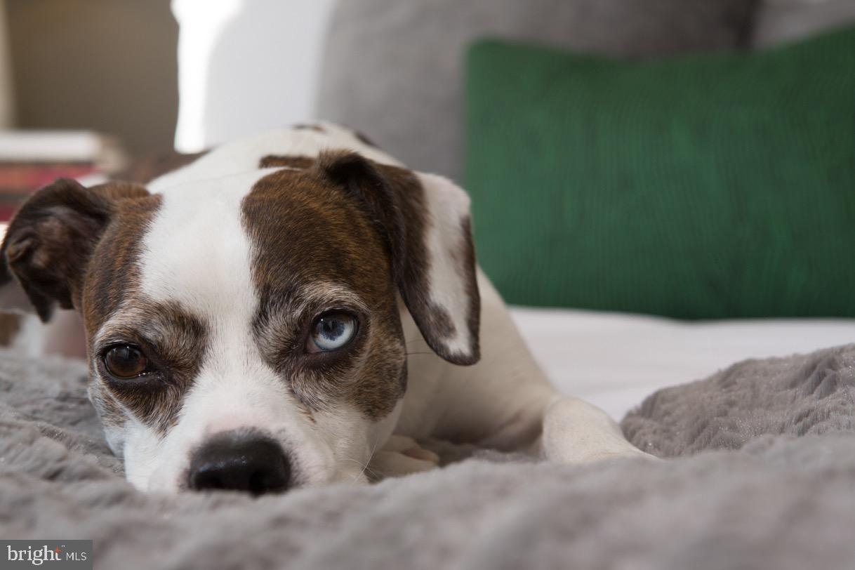 121 N 2ND STREET 601