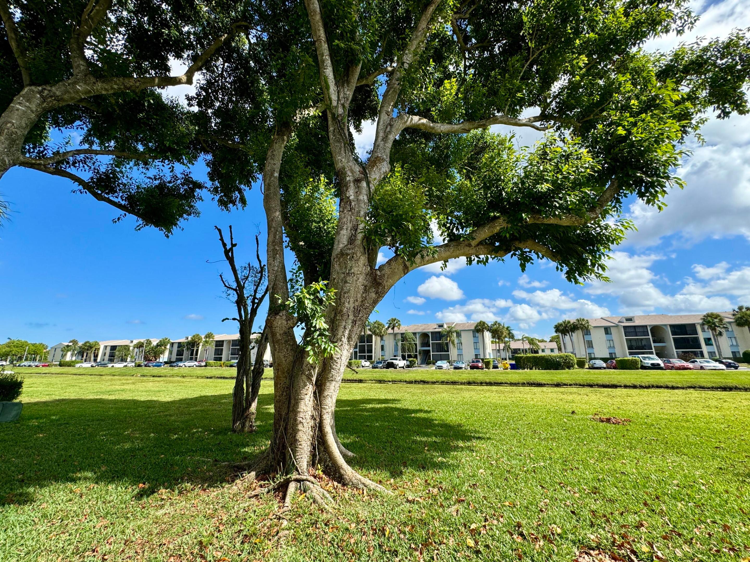 563 Green Springs Place