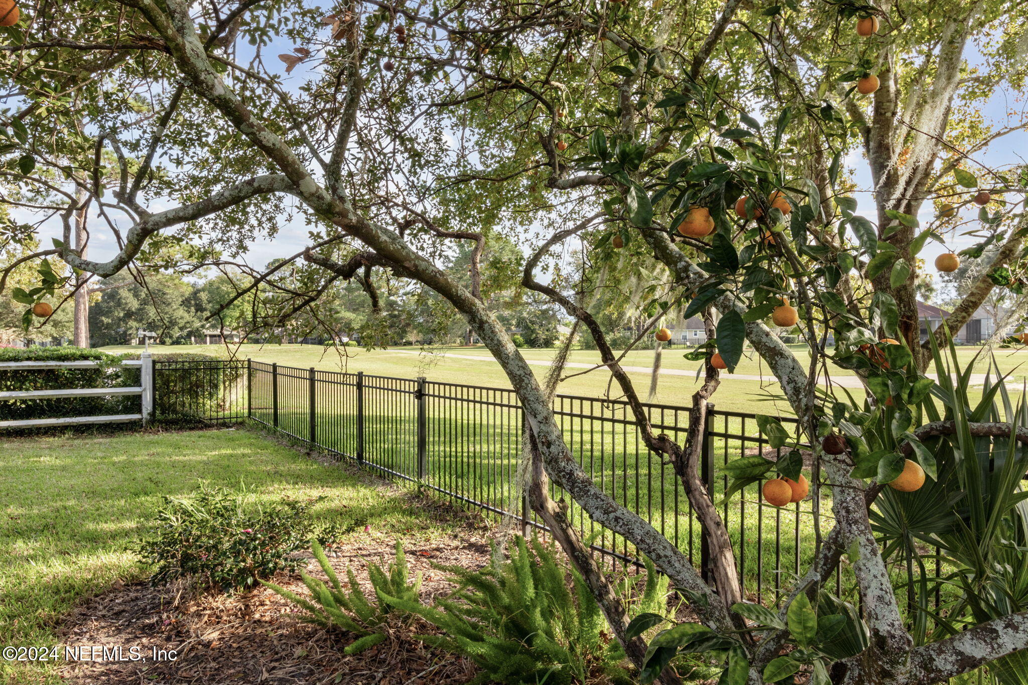 3731 CONSTANCIA Drive