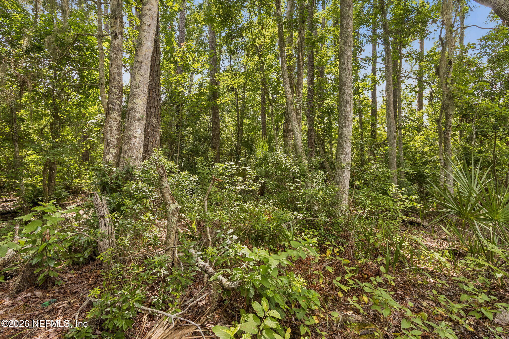 1173 NECK Road
