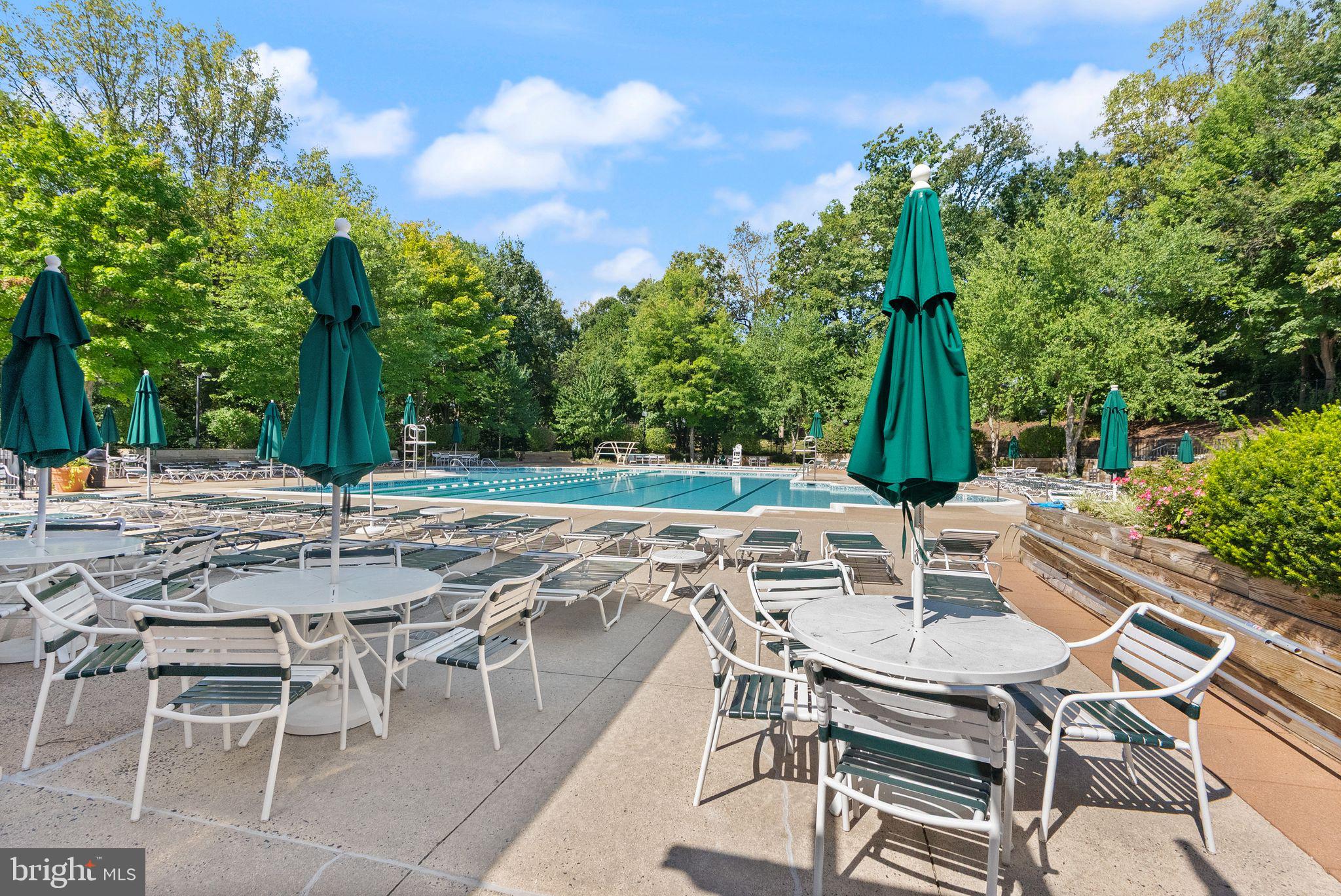 12116 GREENWAY COURT 202