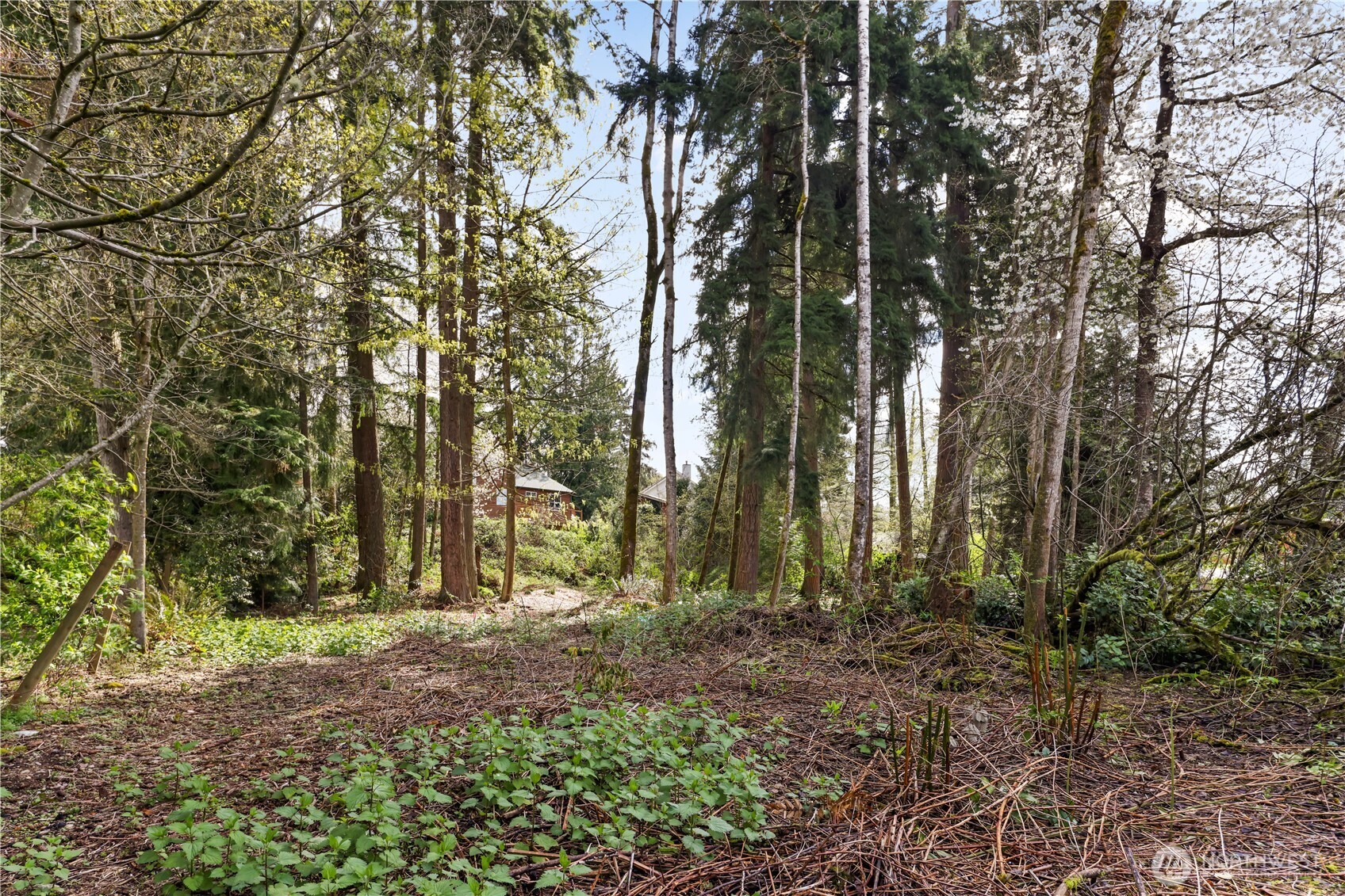 715 183rd Street SE