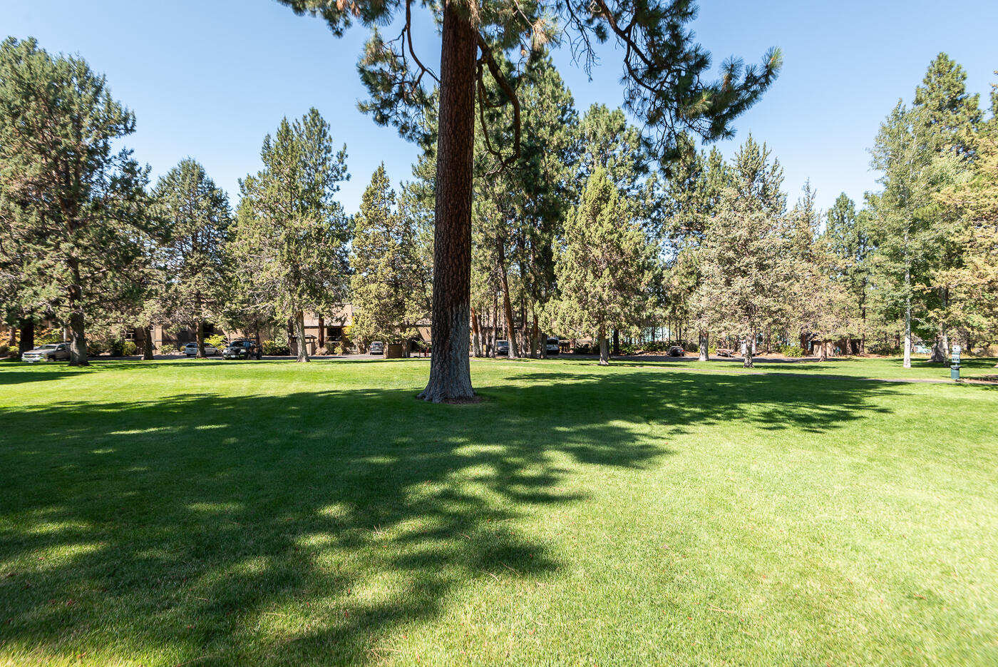19717 Mount Bachelor Drive, UNIT 116