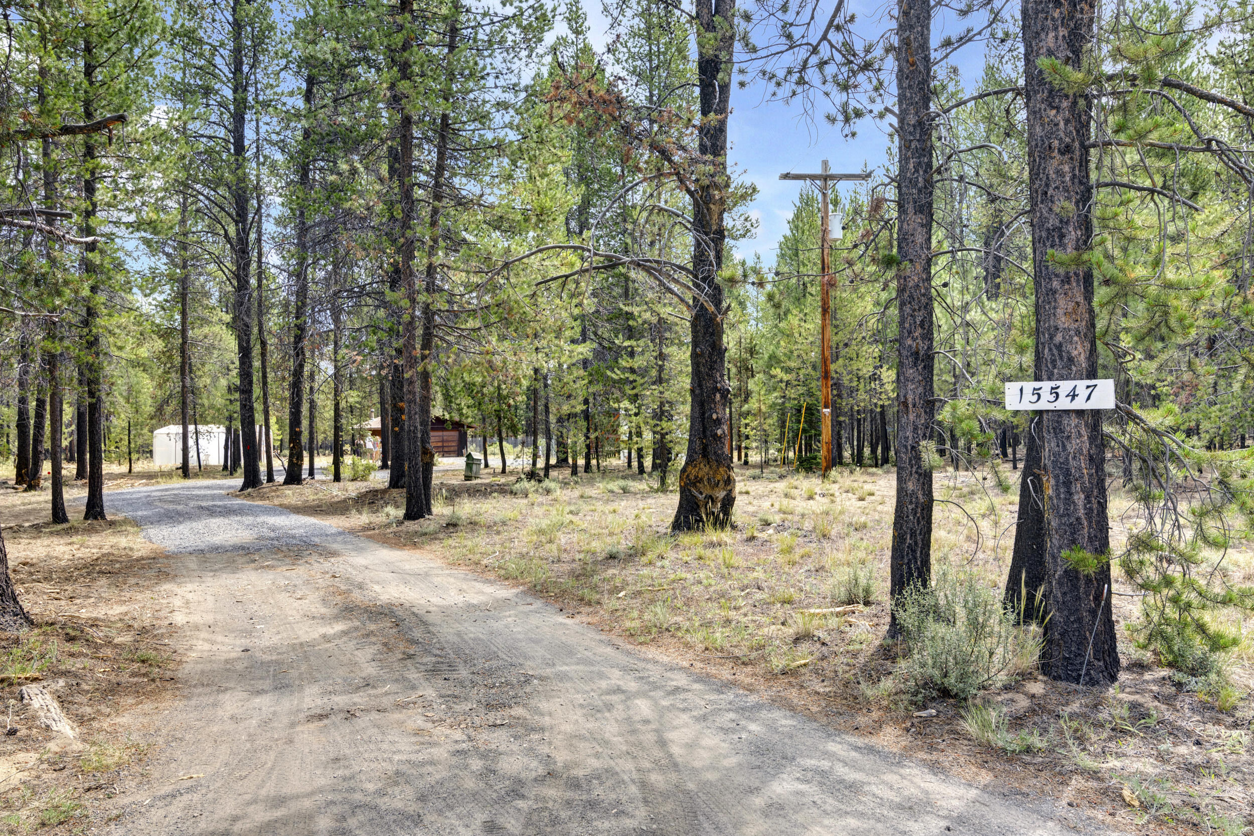 15547 Emerald Drive
