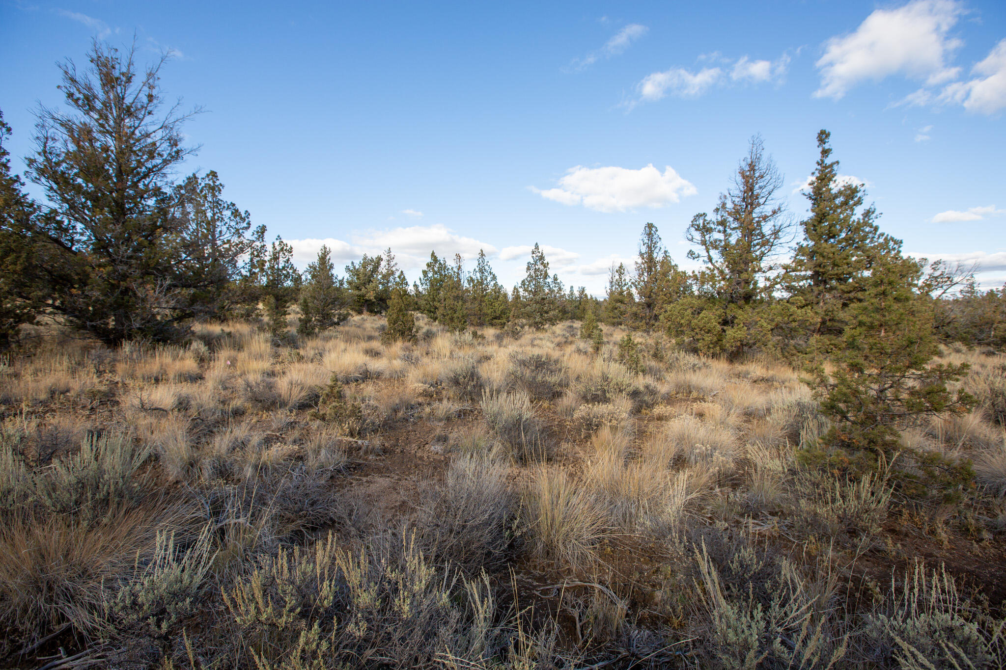 1657 SE Texas Circle, Lot 9