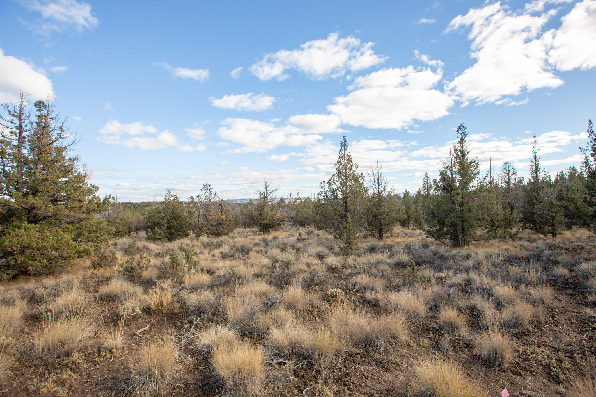 1657 SE Texas Circle, Lot 9