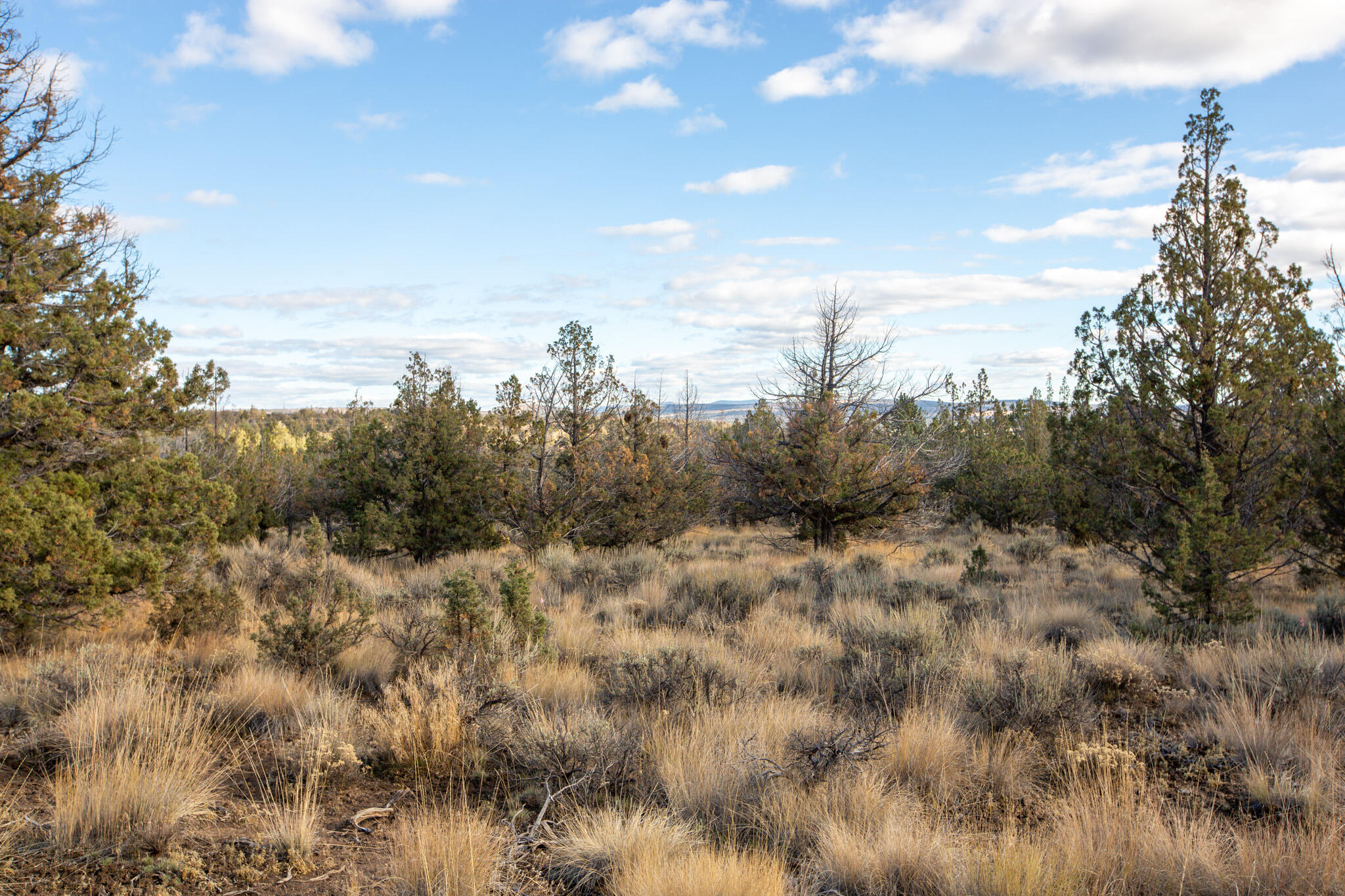 1657 SE Texas Circle, Lot 9