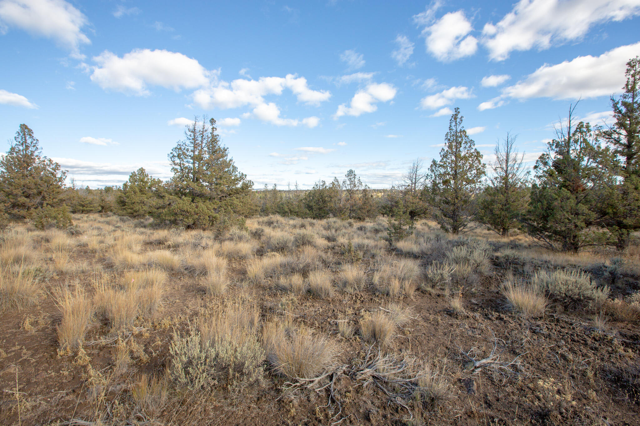 1657 SE Texas Circle, Lot 9