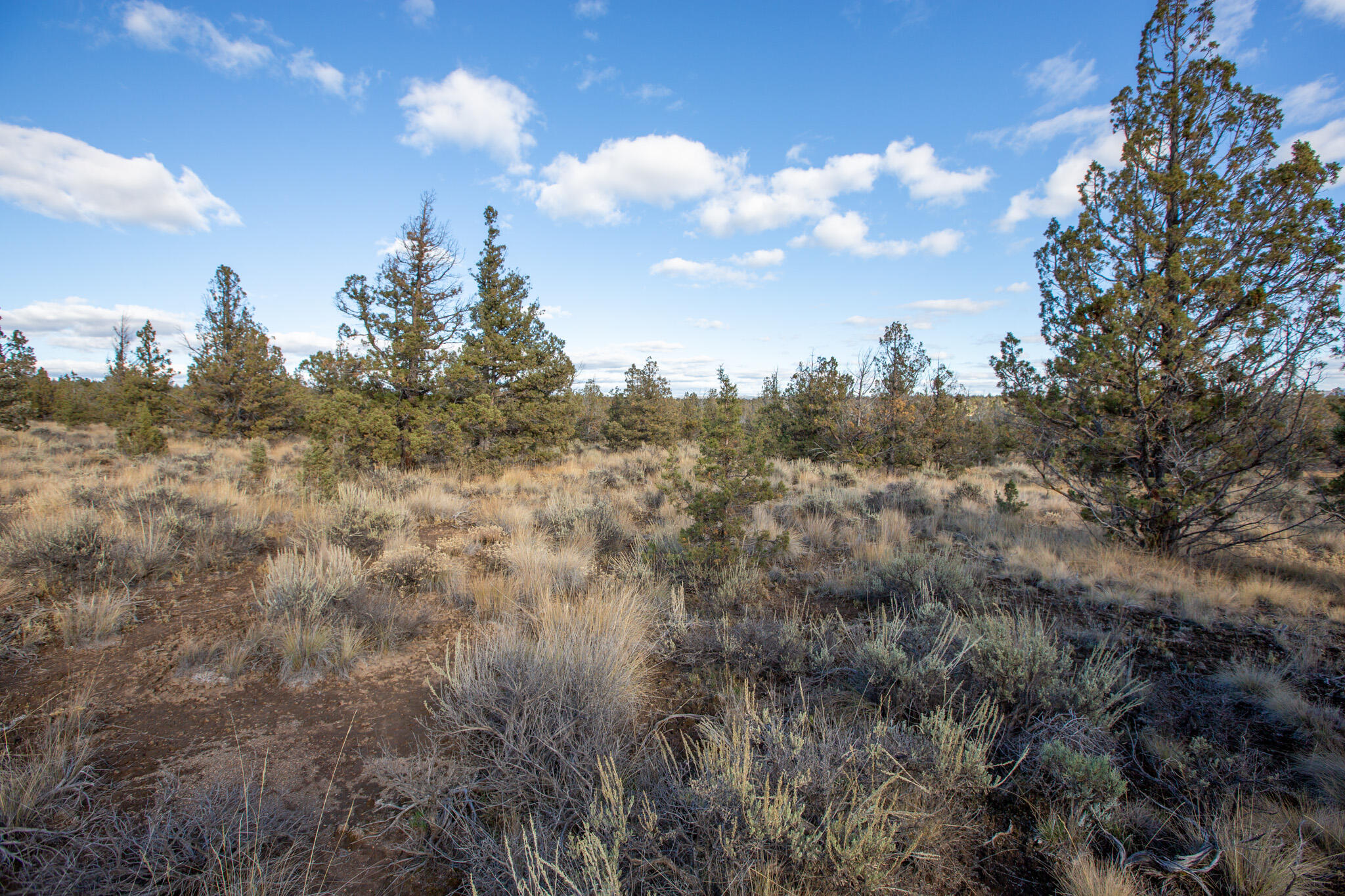 1657 SE Texas Circle, Lot 9