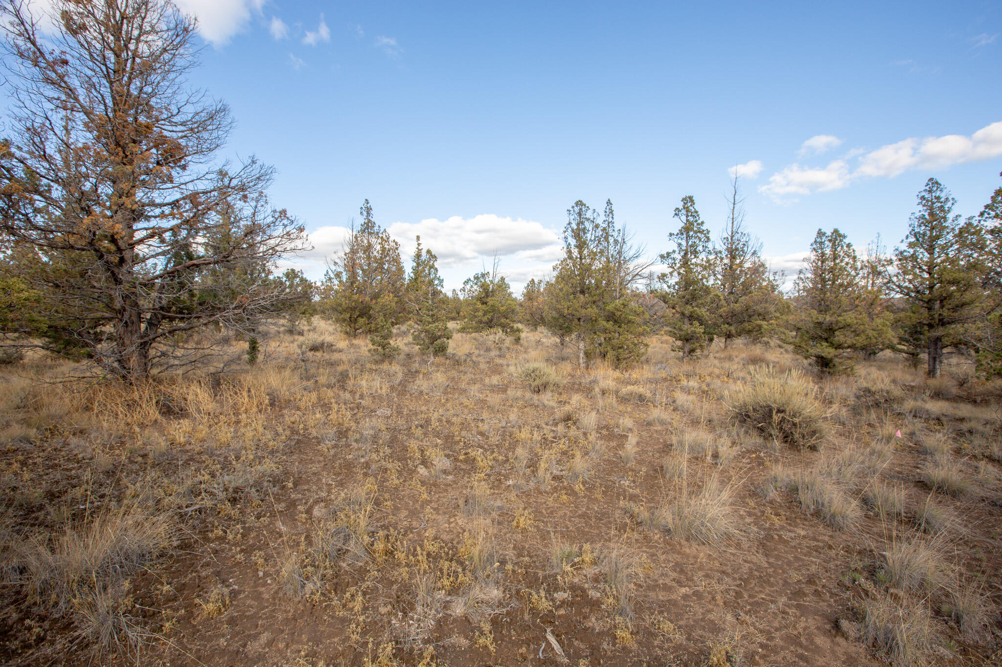 1657 SE Texas Circle, Lot 9