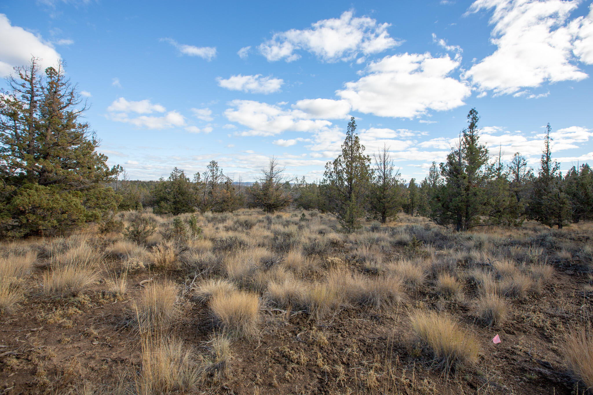 1657 SE Texas Circle, Lot 9