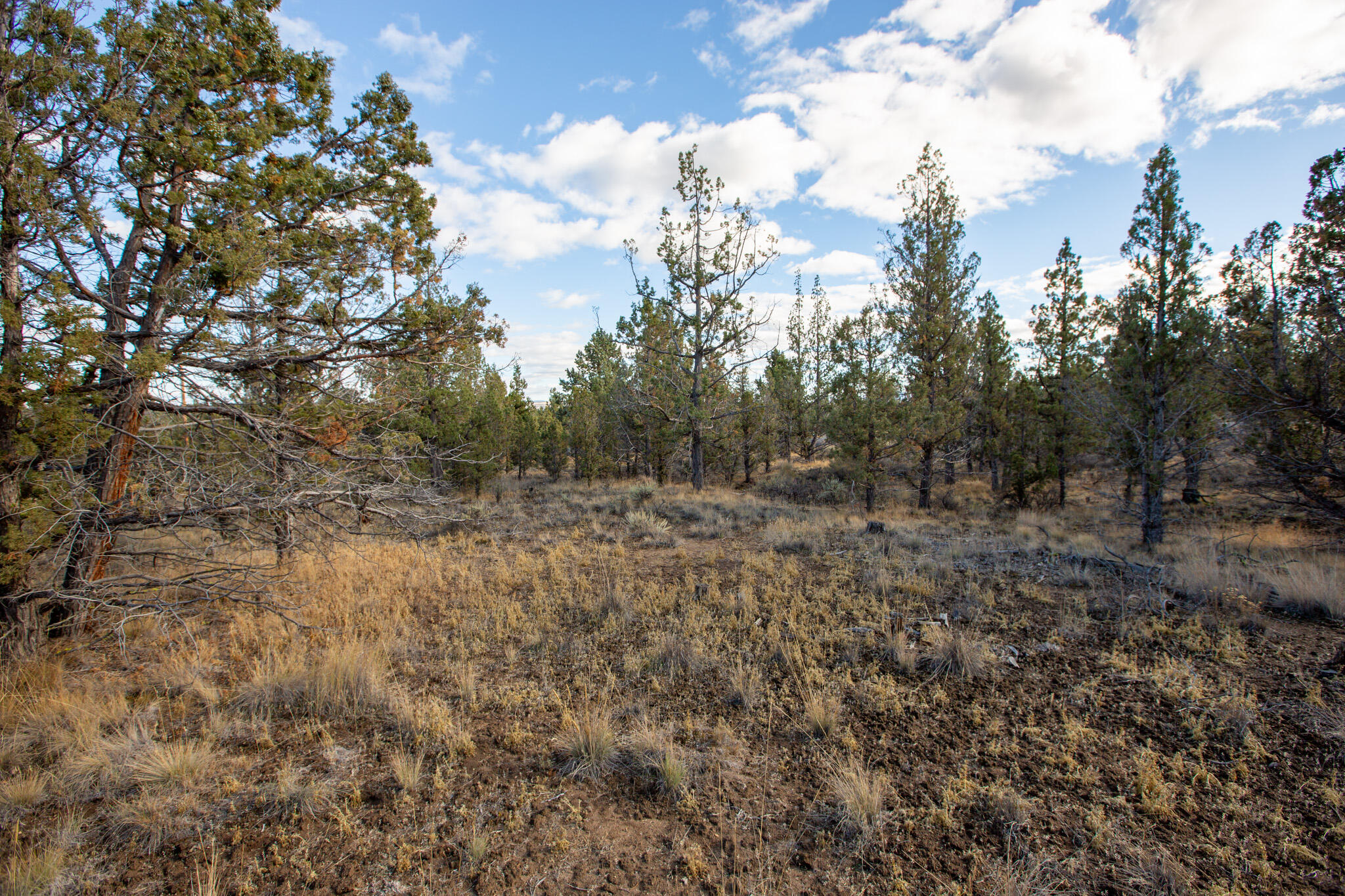 1657 SE Texas Circle, Lot 9