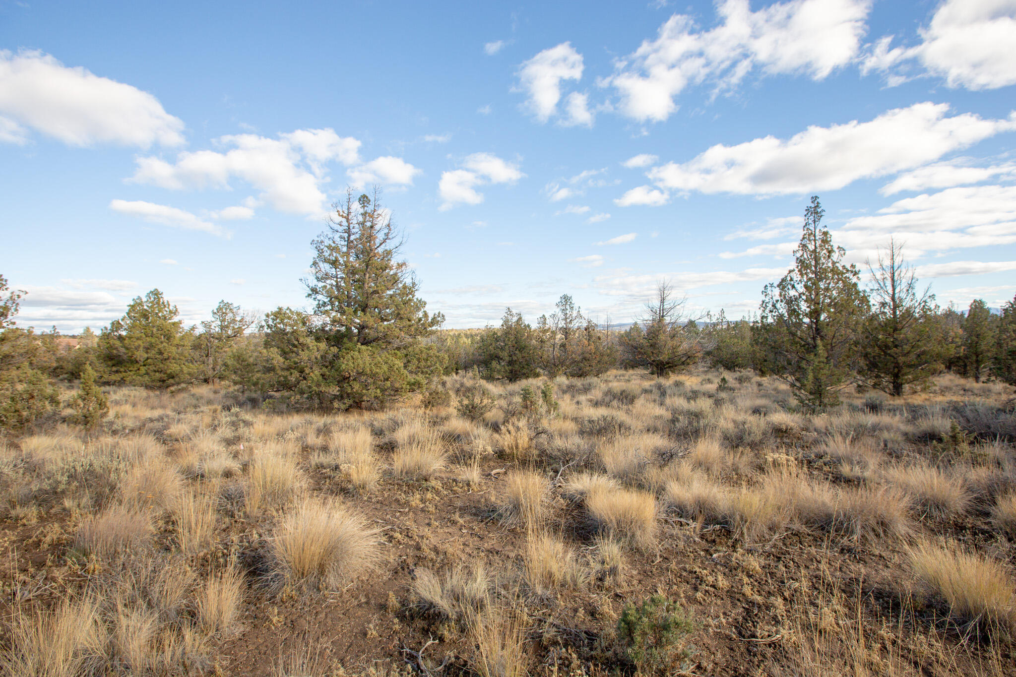 1657 SE Texas Circle, Lot 9