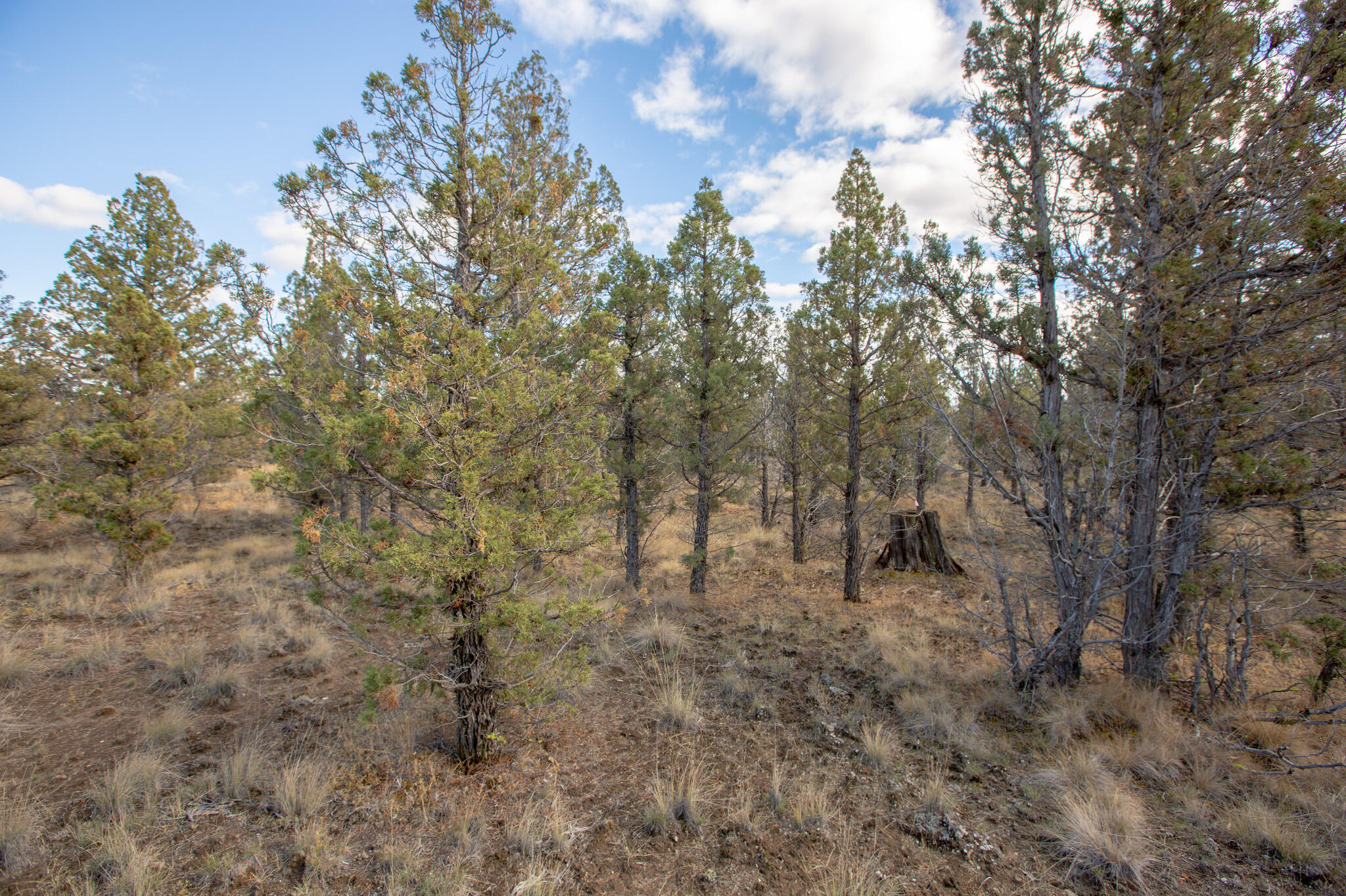 1657 SE Texas Circle, Lot 9