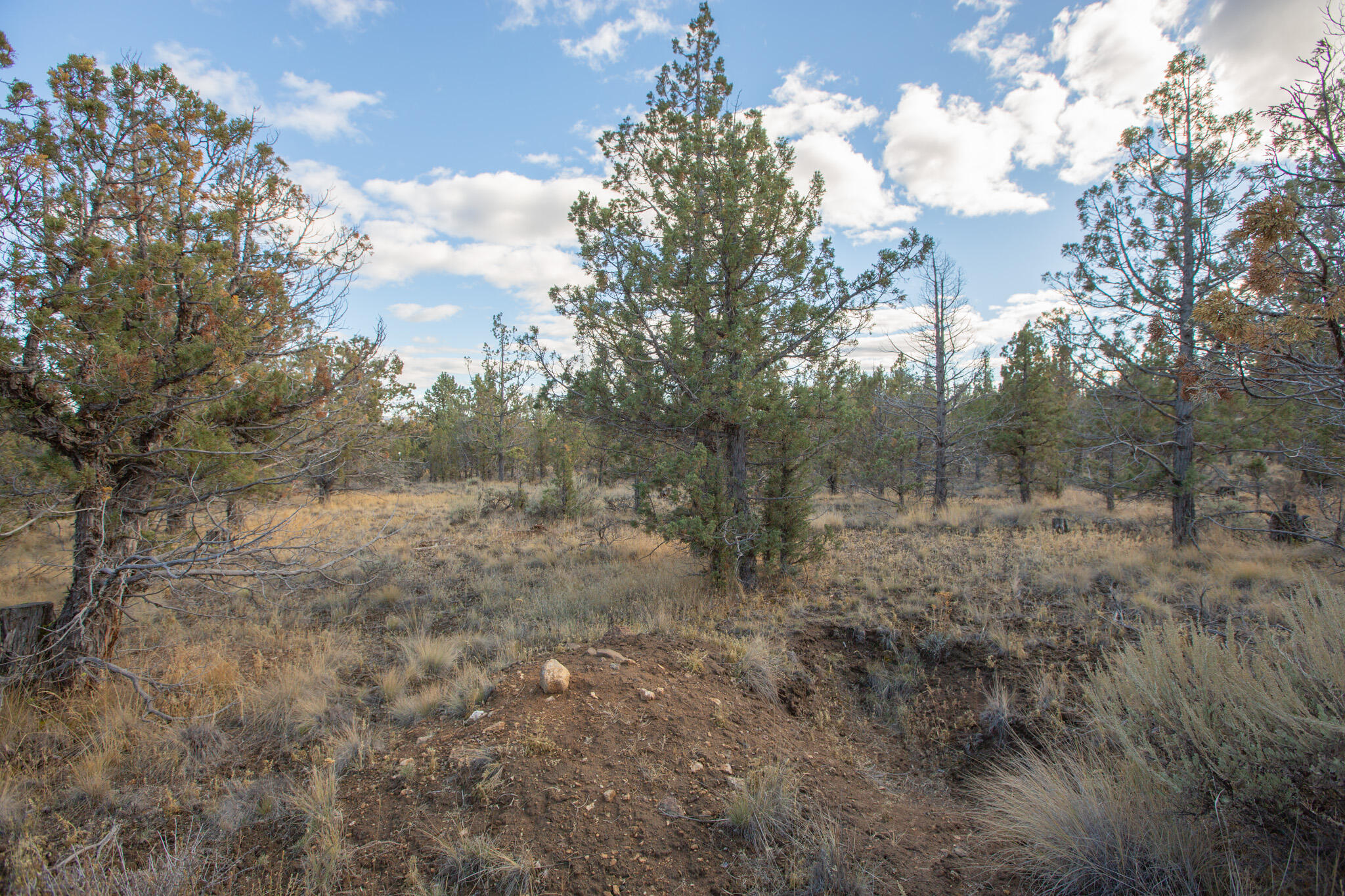 1657 SE Texas Circle, Lot 9