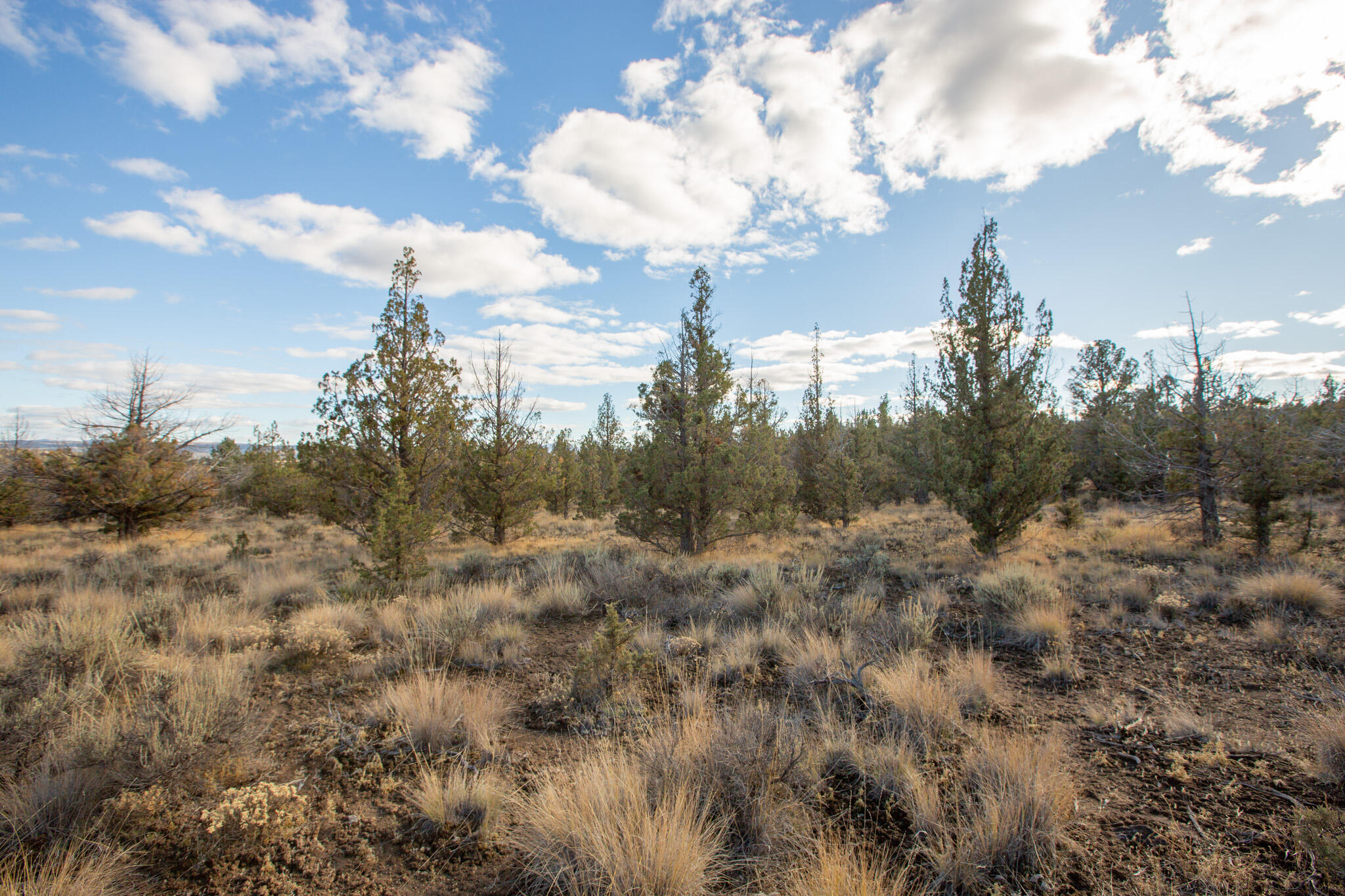 1657 SE Texas Circle, Lot 9