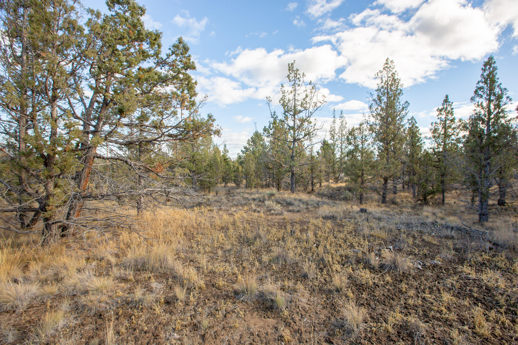 1657 SE Texas Circle, Lot 9