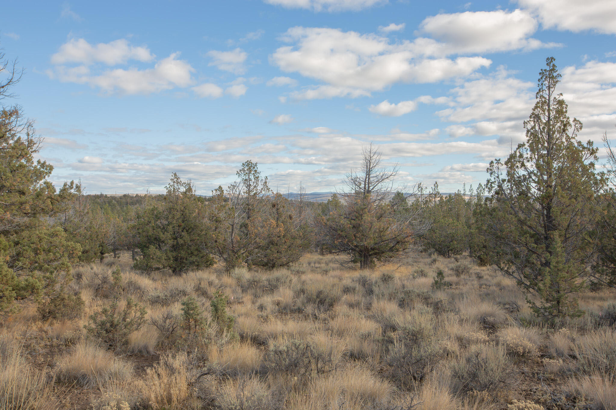 1657 SE Texas Circle, Lot 9