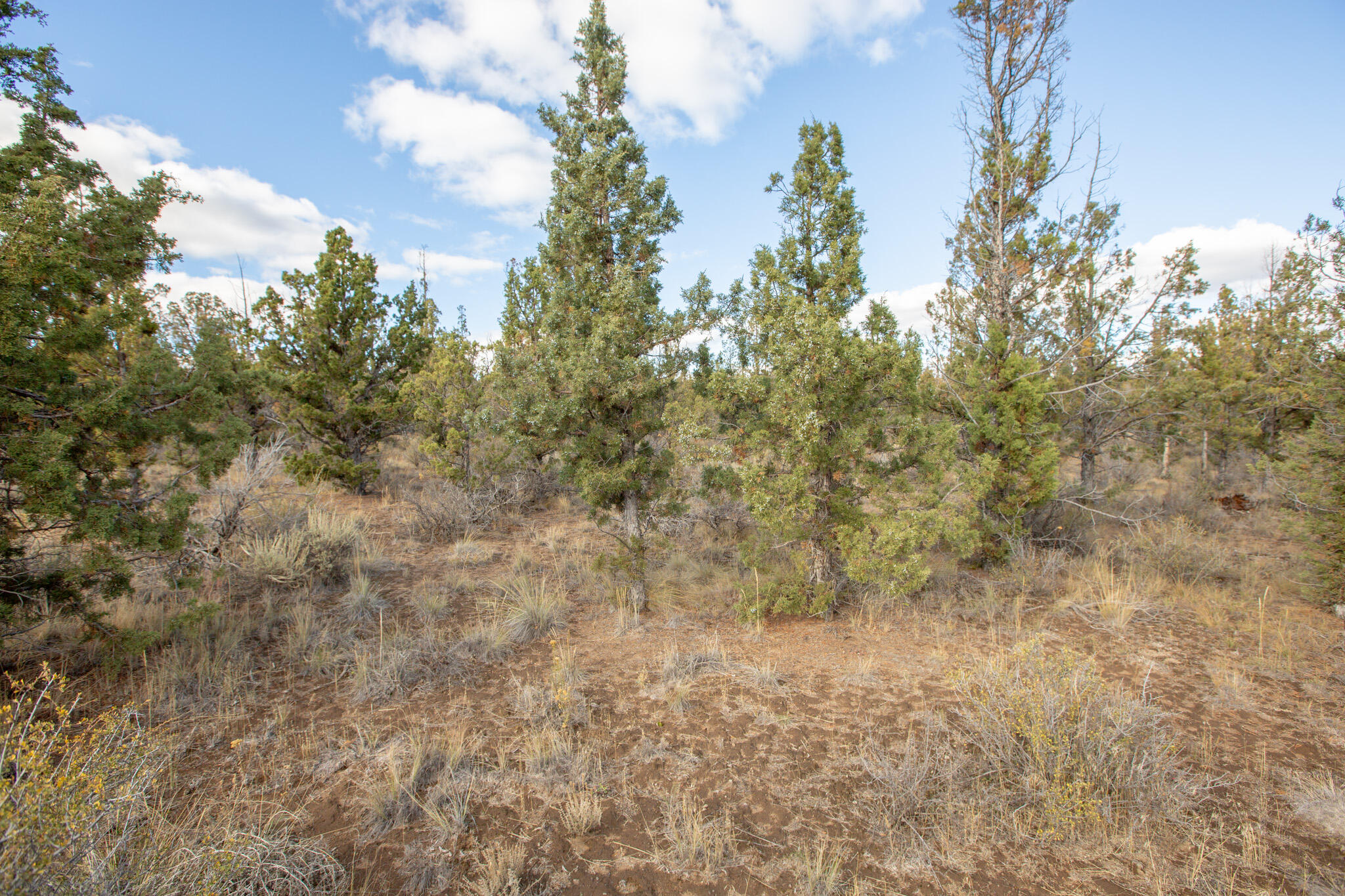 1657 SE Texas Circle, Lot 9