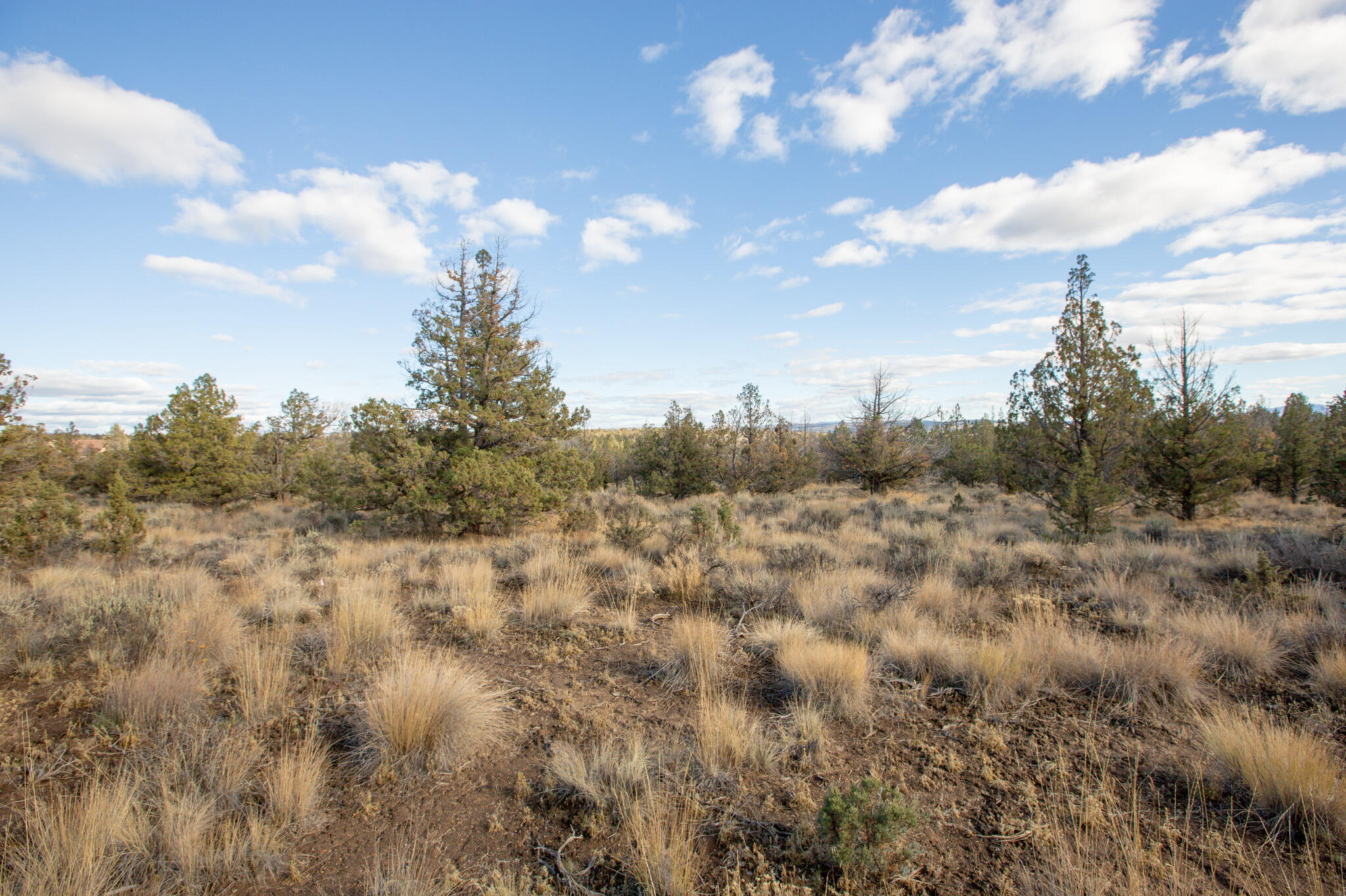 1657 SE Texas Circle, Lot 9