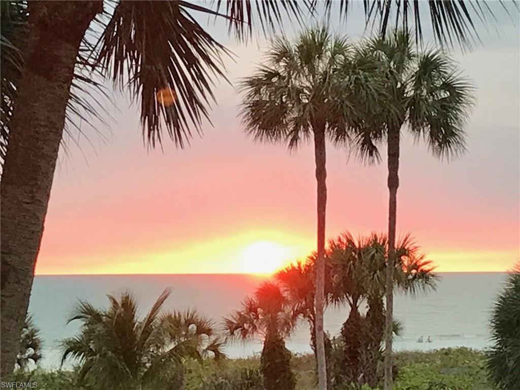 Ocean sunset framed by palm trees, with coastal vegetation in the foreground.