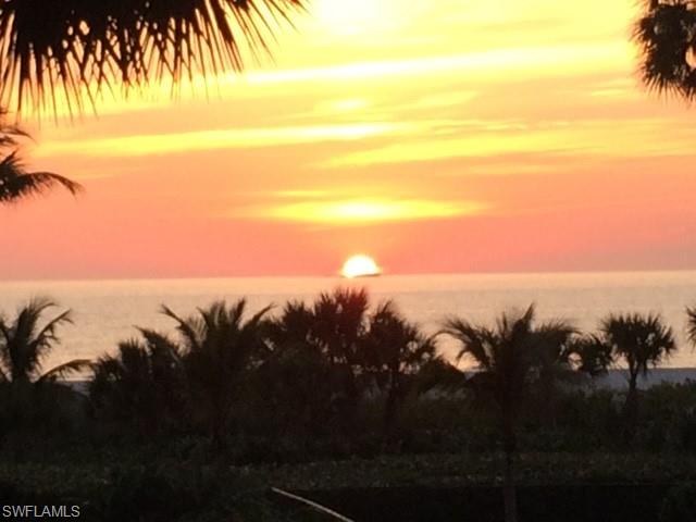 Sunset over the ocean framed by silhouetted palm trees.
