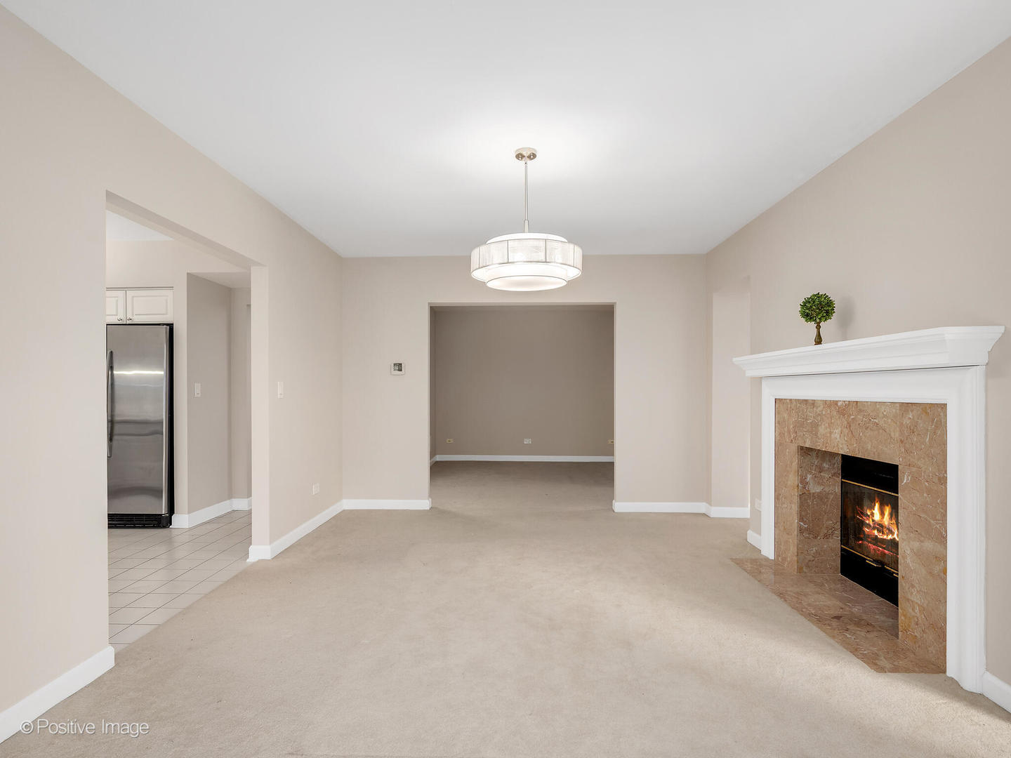 3525 Cass Court Unit: 409