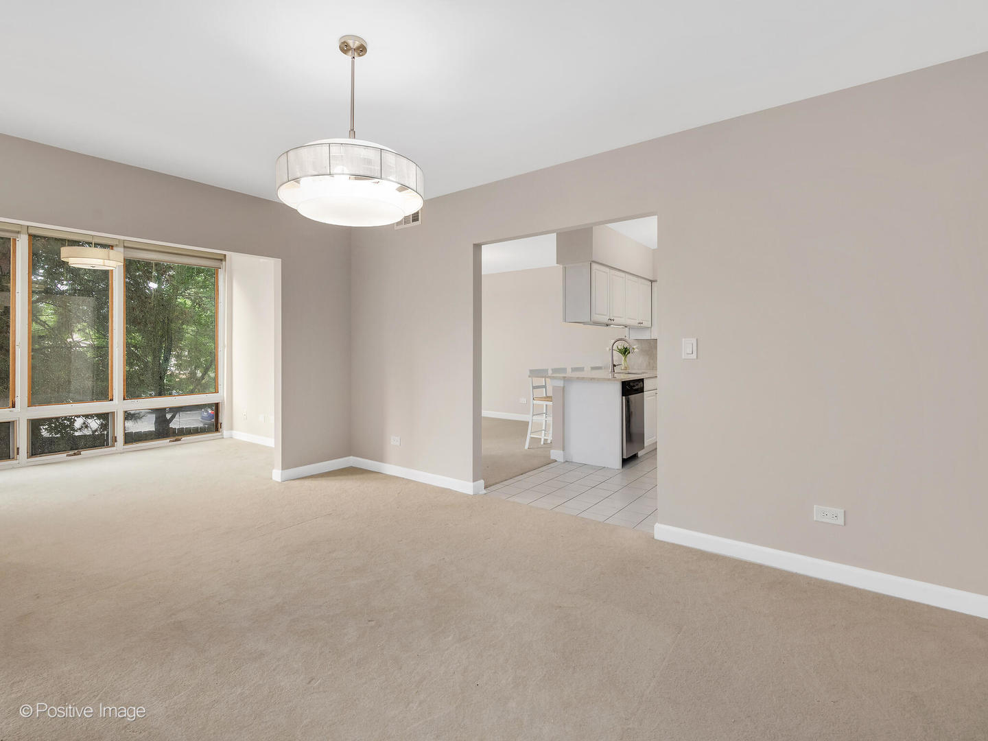 3525 Cass Court Unit: 409